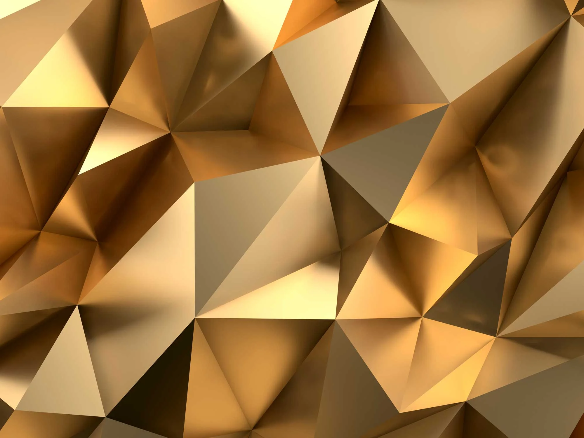 SPECIALS_BANNER.jpg