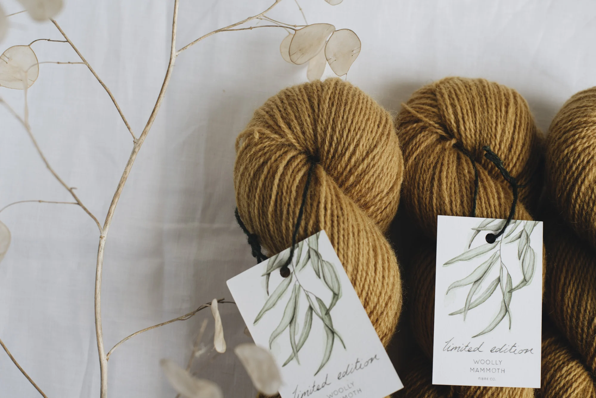 Aug2019Update_WMFC_EmmaStewartPhotography-2586.jpg