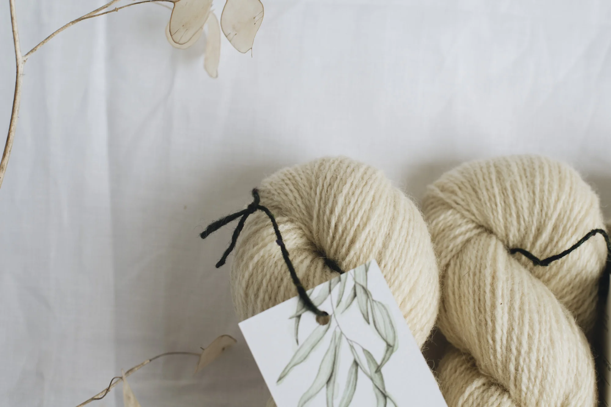 Aug2019Update_WMFC_EmmaStewartPhotography-2594.jpg