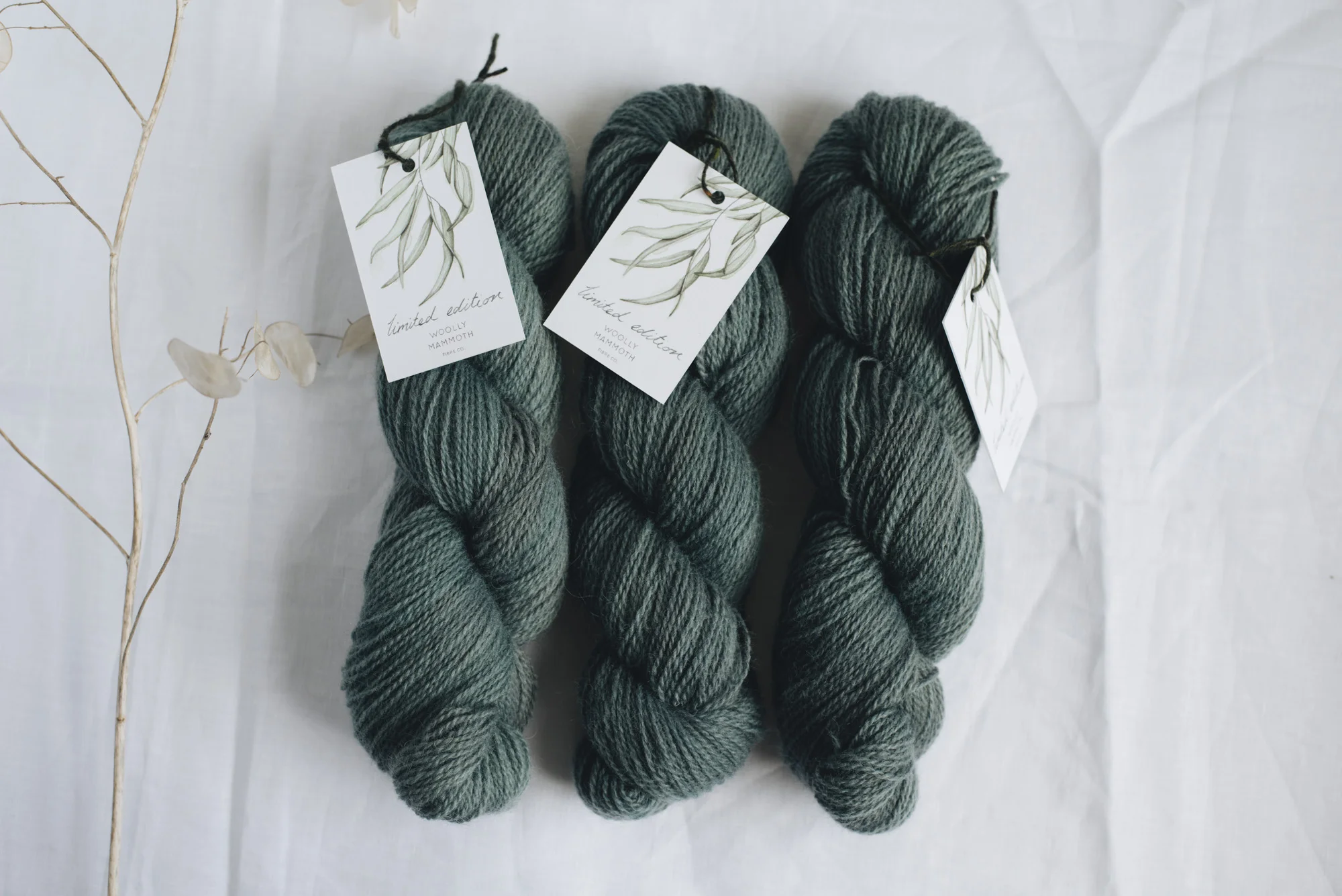 Aug2019Update_WMFC_EmmaStewartPhotography-2597.jpg