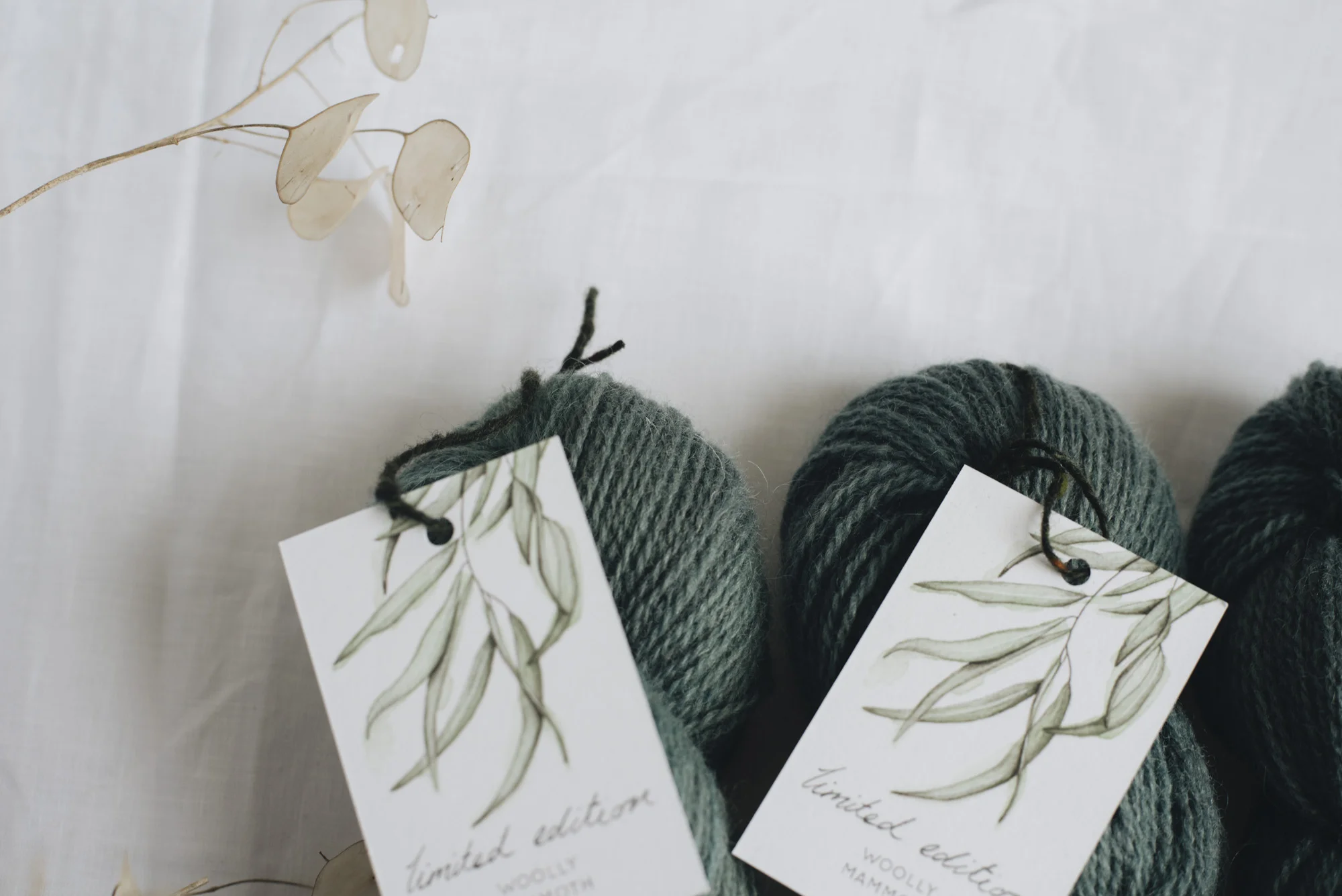 Aug2019Update_WMFC_EmmaStewartPhotography-2599.jpg