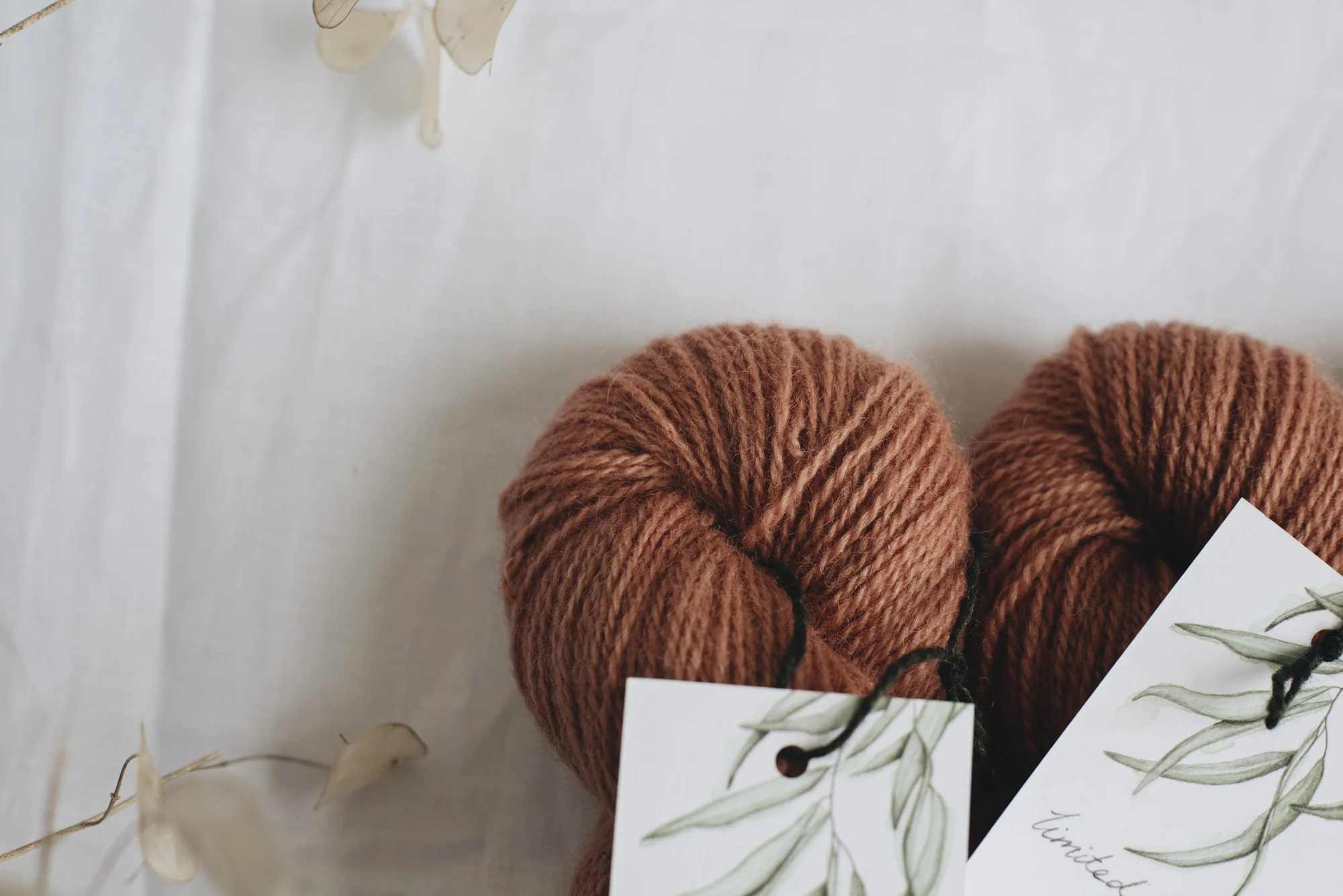 Aug2019Update_WMFC_EmmaStewartPhotography-2605.jpg