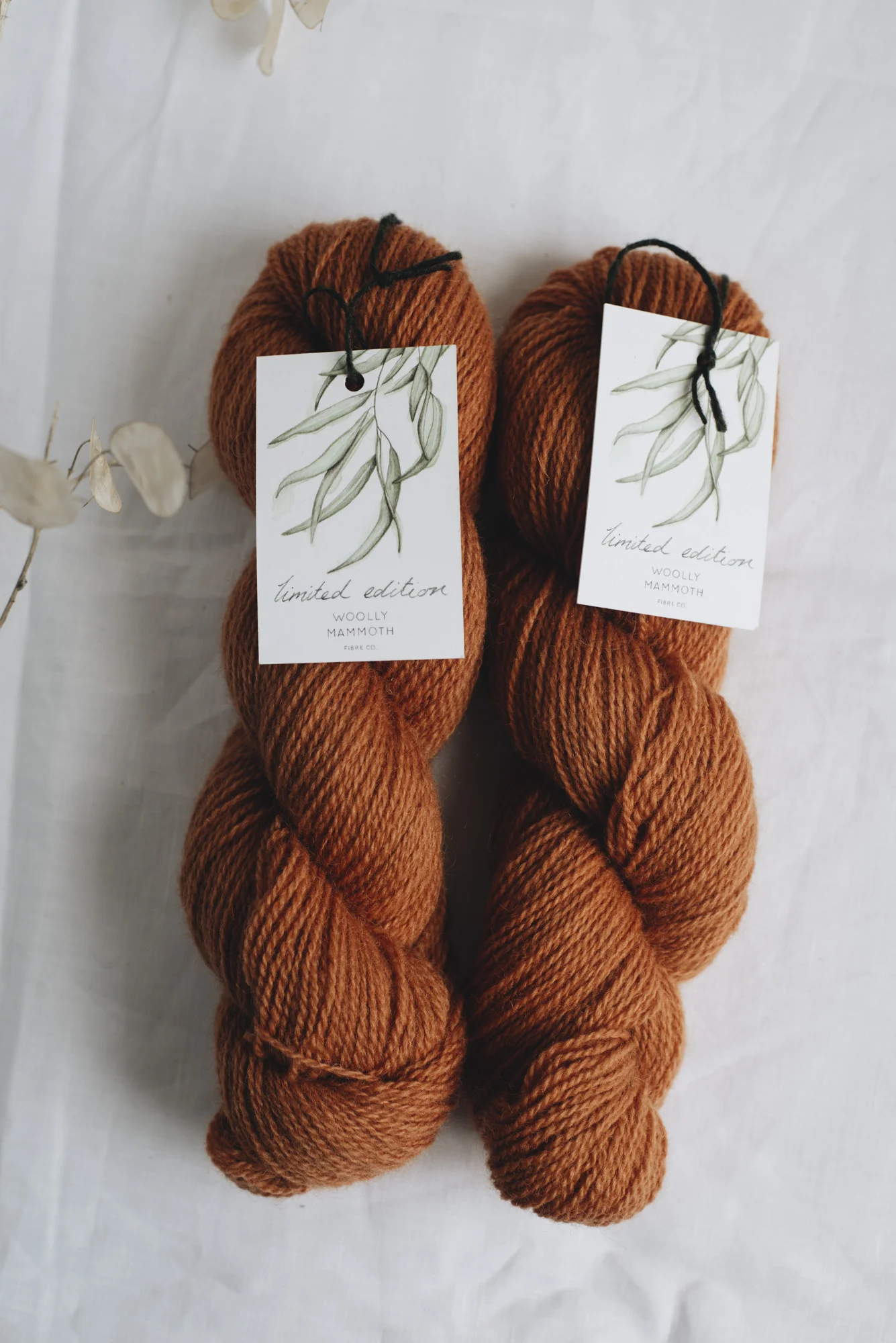 Aug2019Update_WMFC_EmmaStewartPhotography-2609.jpg