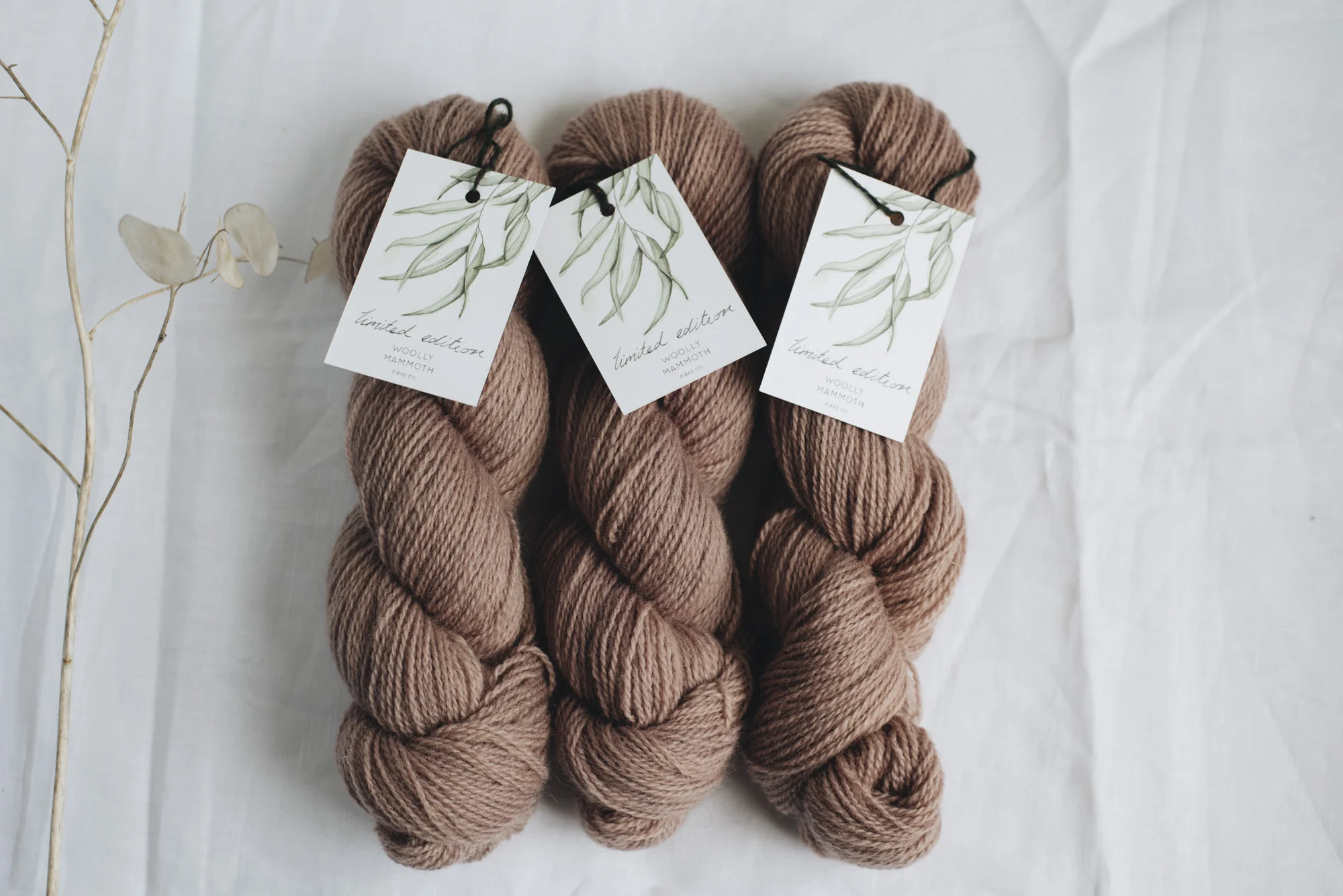 Aug2019Update_WMFC_EmmaStewartPhotography-2616.jpg