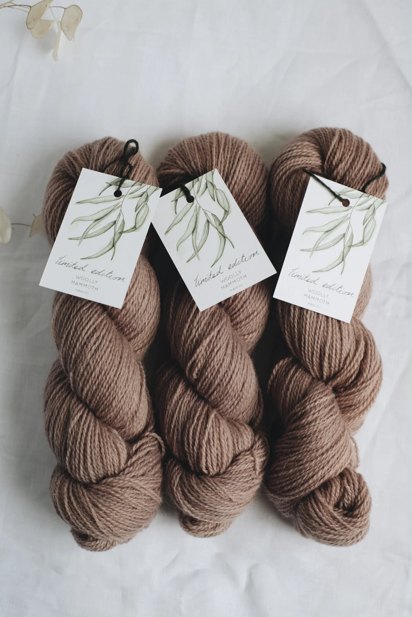 Aug2019Update_WMFC_EmmaStewartPhotography-2613.jpg