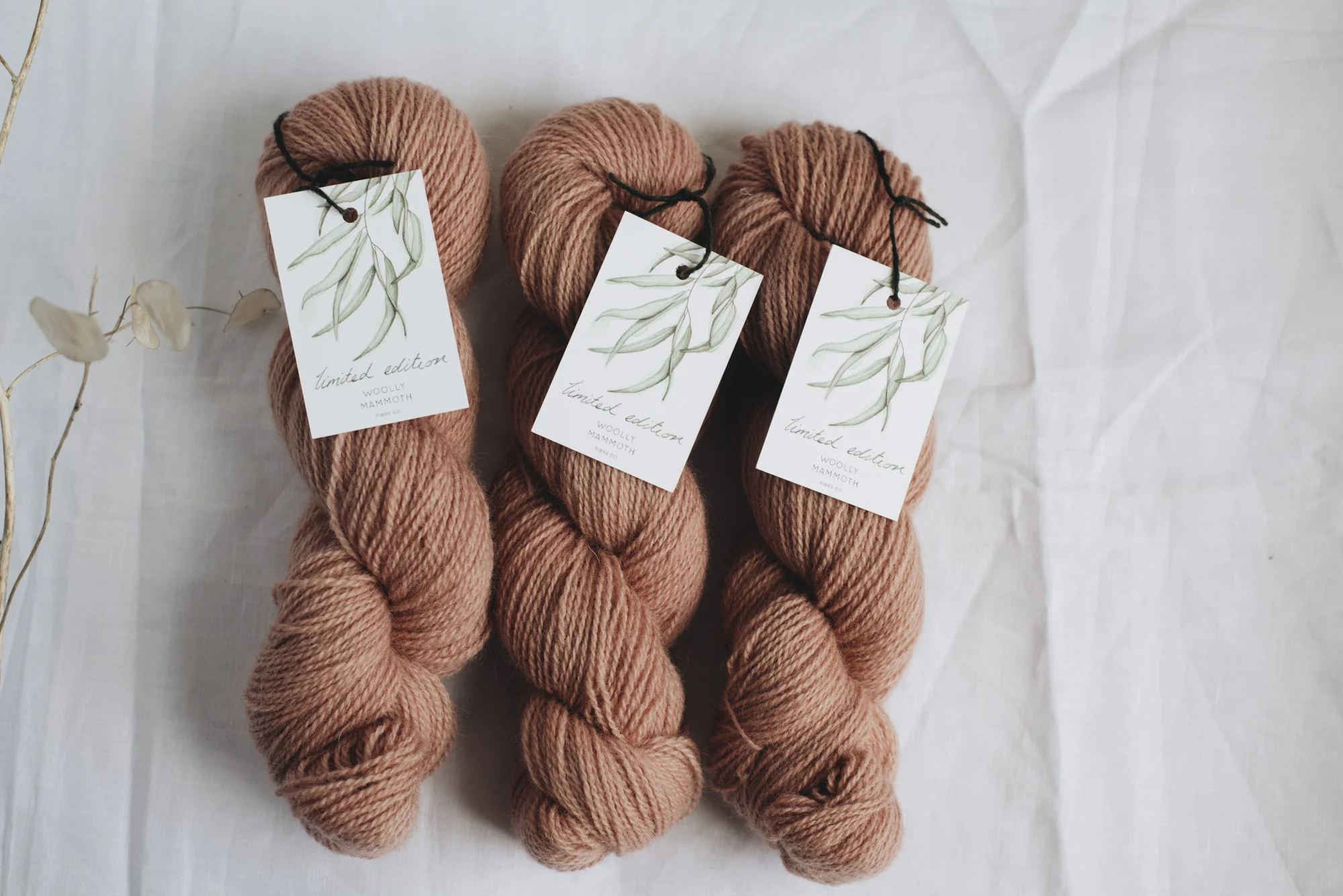 Aug2019Update_WMFC_EmmaStewartPhotography-2619.jpg