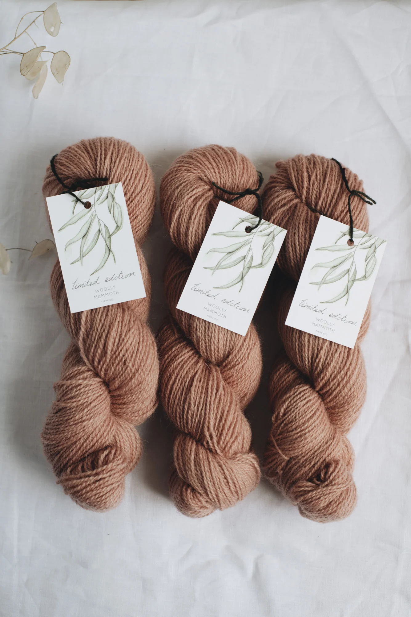 Aug2019Update_WMFC_EmmaStewartPhotography-2621.jpg