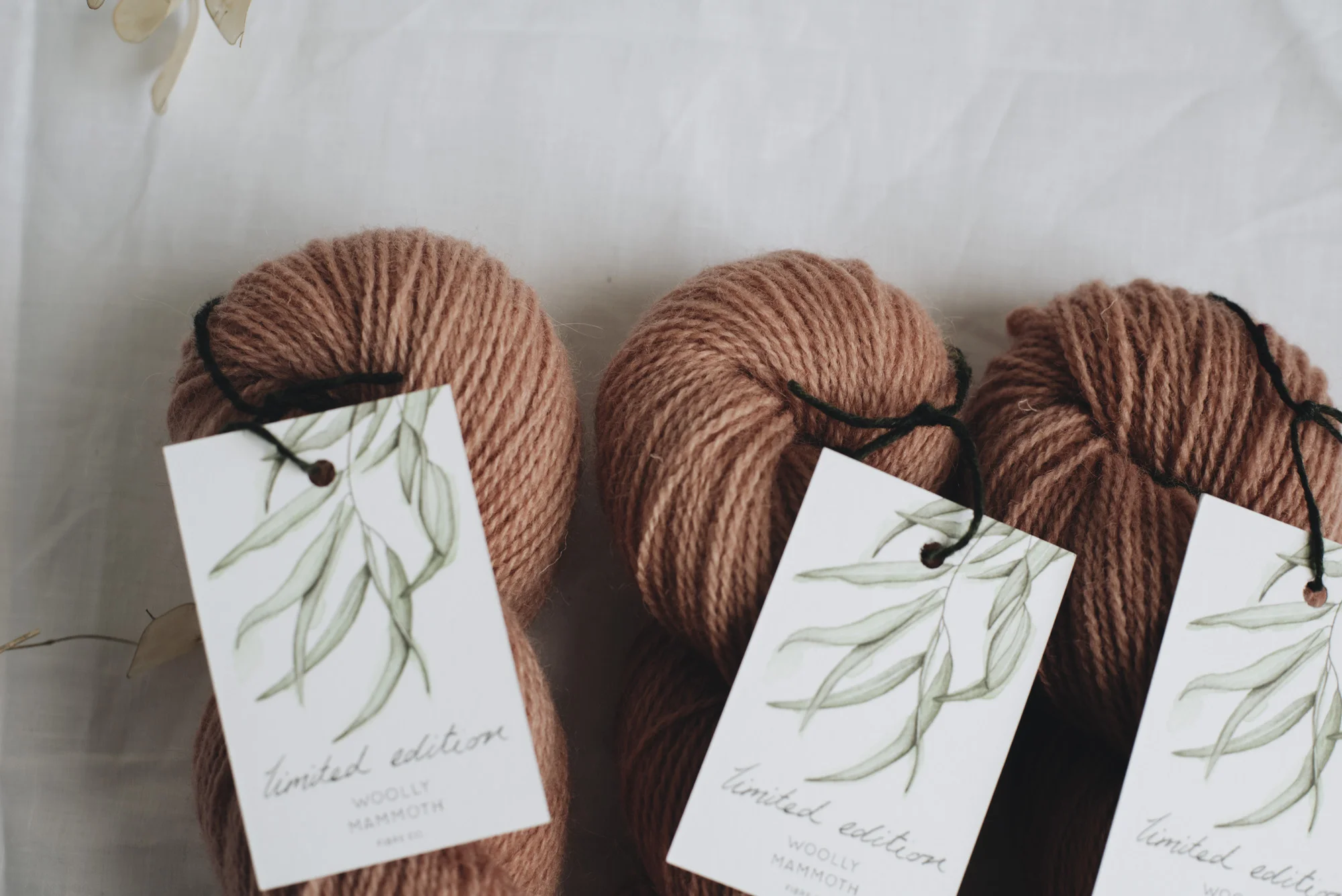 Aug2019Update_WMFC_EmmaStewartPhotography-2623.jpg