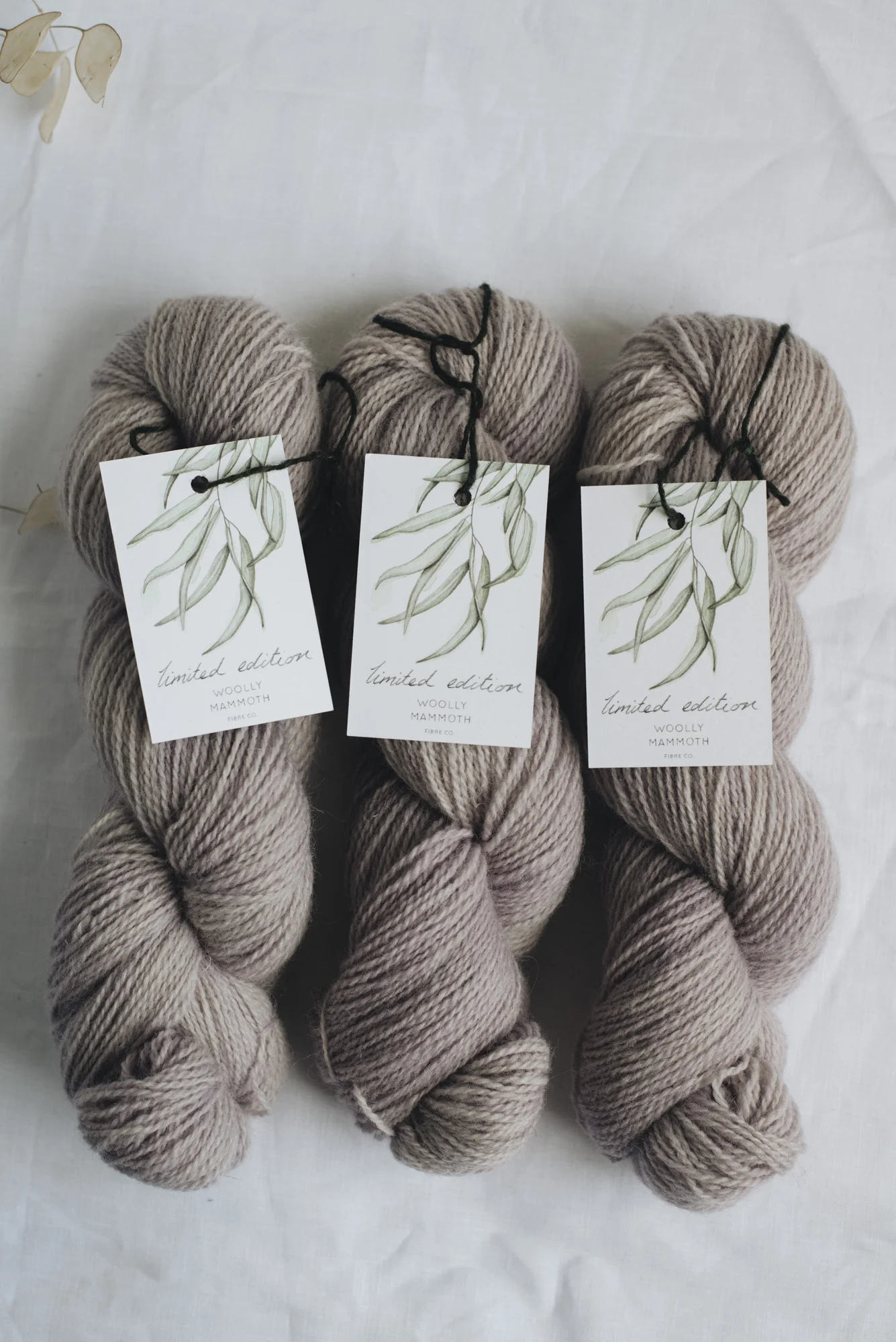 Aug2019Update_WMFC_EmmaStewartPhotography-2630.jpg