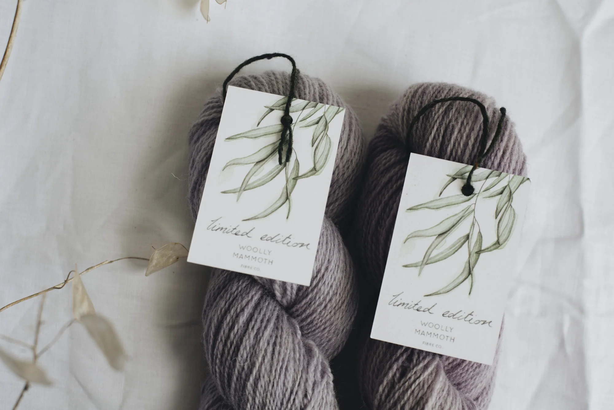 Aug2019Update_WMFC_EmmaStewartPhotography-2637.jpg