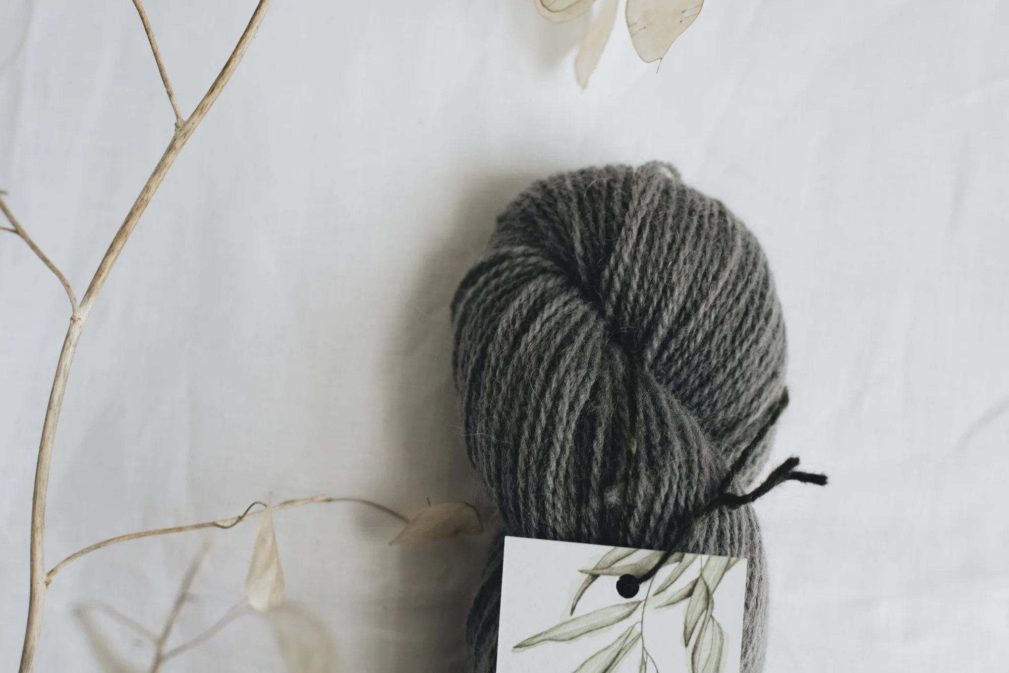Aug2019Update_WMFC_EmmaStewartPhotography-2648.jpg