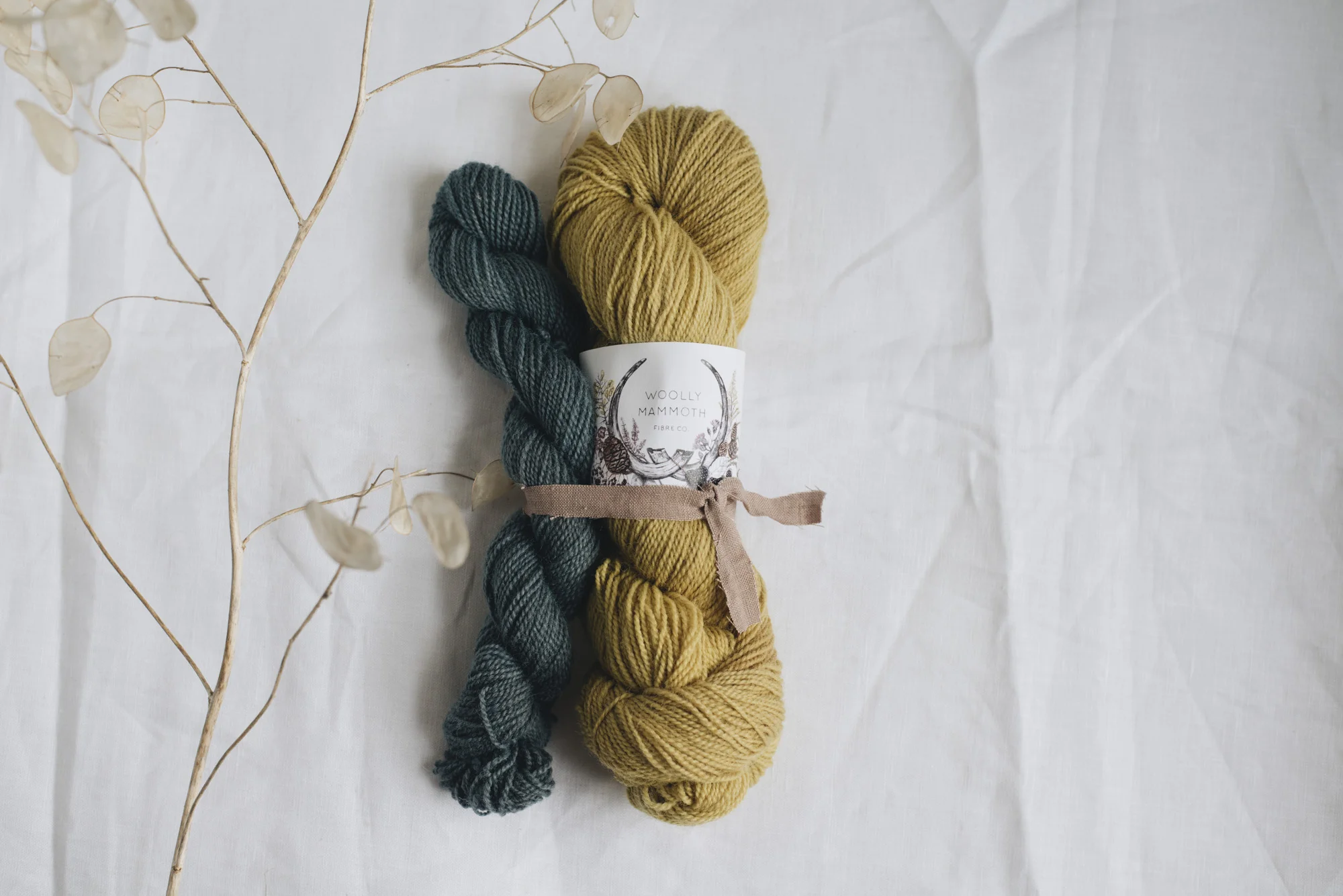 Aug2019Update_WMFC_EmmaStewartPhotography-2665.jpg