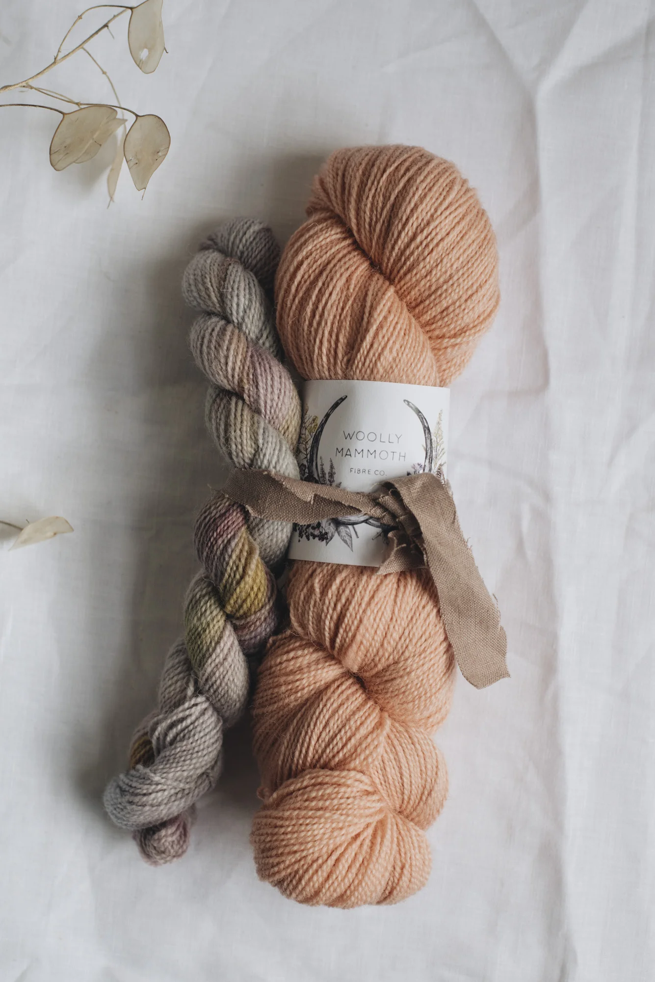 Aug2019Update_WMFC_EmmaStewartPhotography-2670.jpg