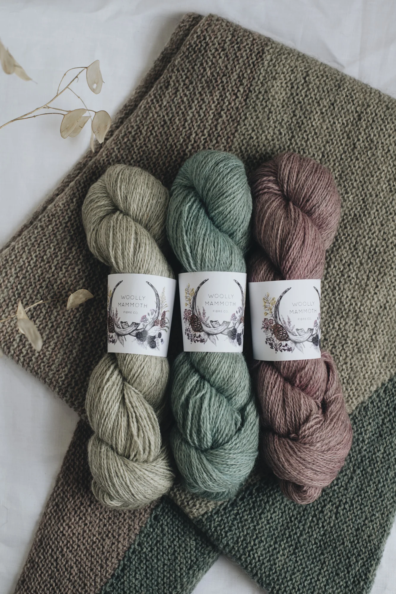 Aug2019Update_WMFC_EmmaStewartPhotography-2679.jpg