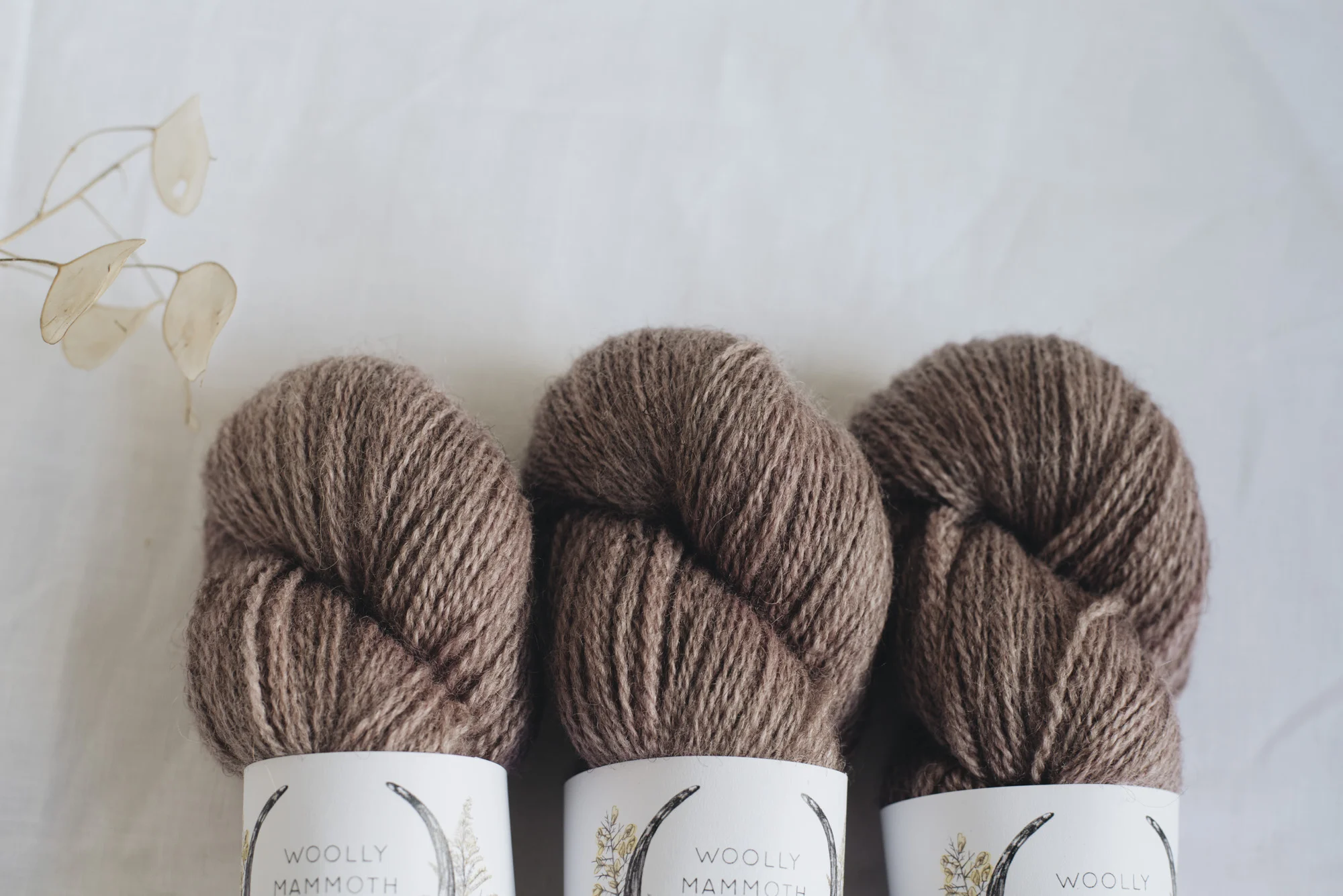 Aug2019Update_WMFC_EmmaStewartPhotography-2699.jpg