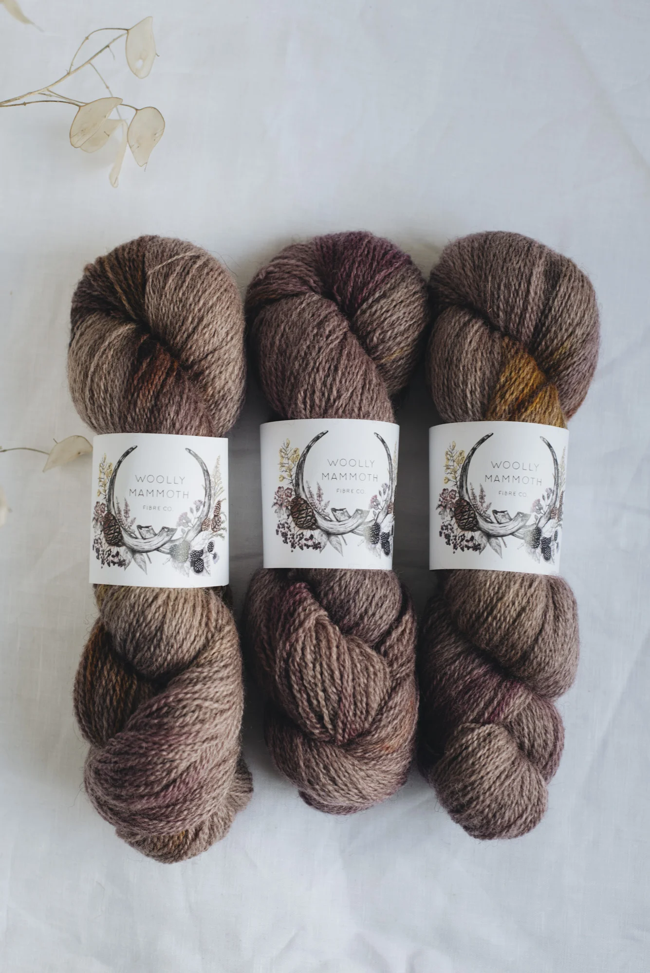 Aug2019Update_WMFC_EmmaStewartPhotography-2709.jpg
