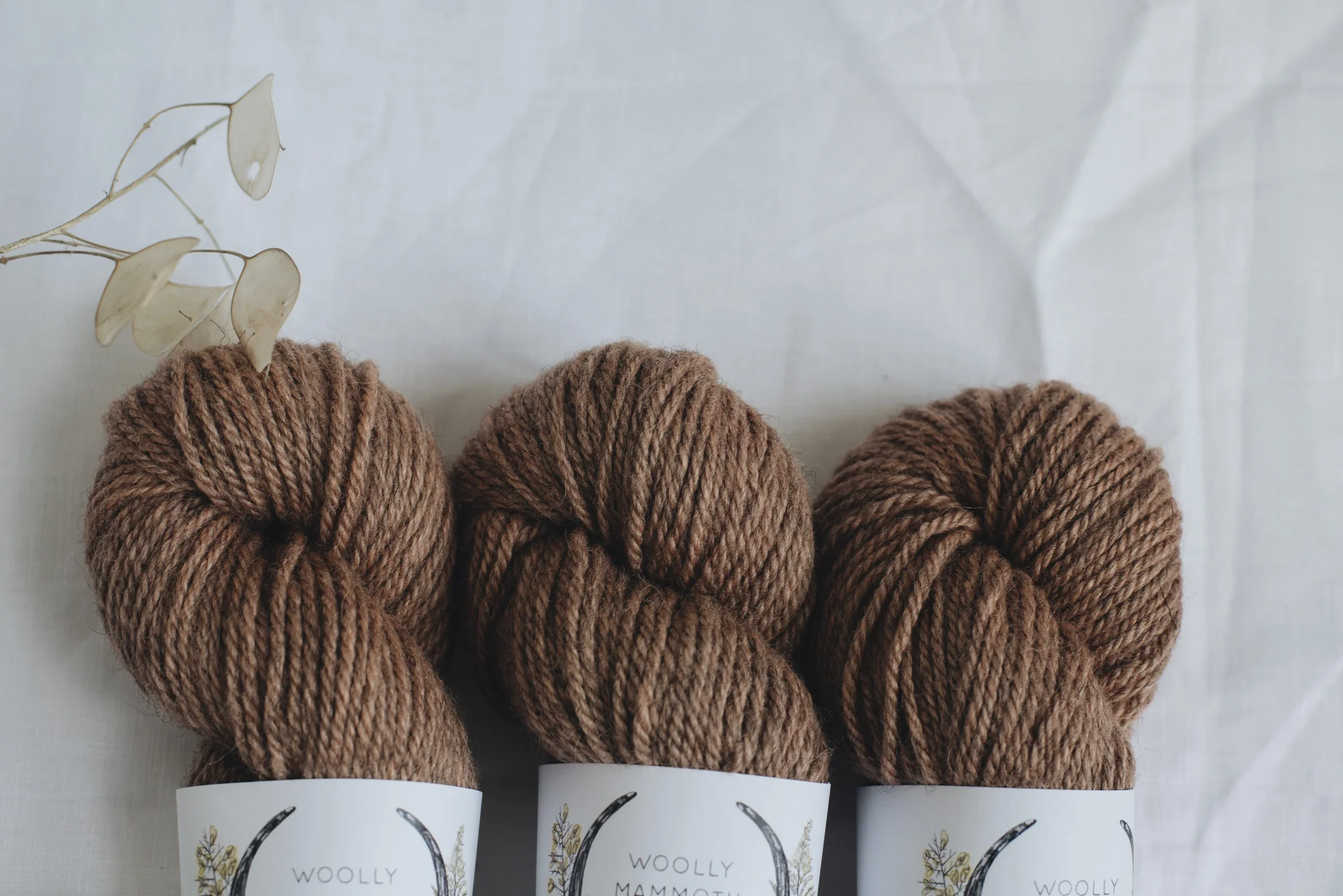 Aug2019Update_WMFC_EmmaStewartPhotography-2735.jpg