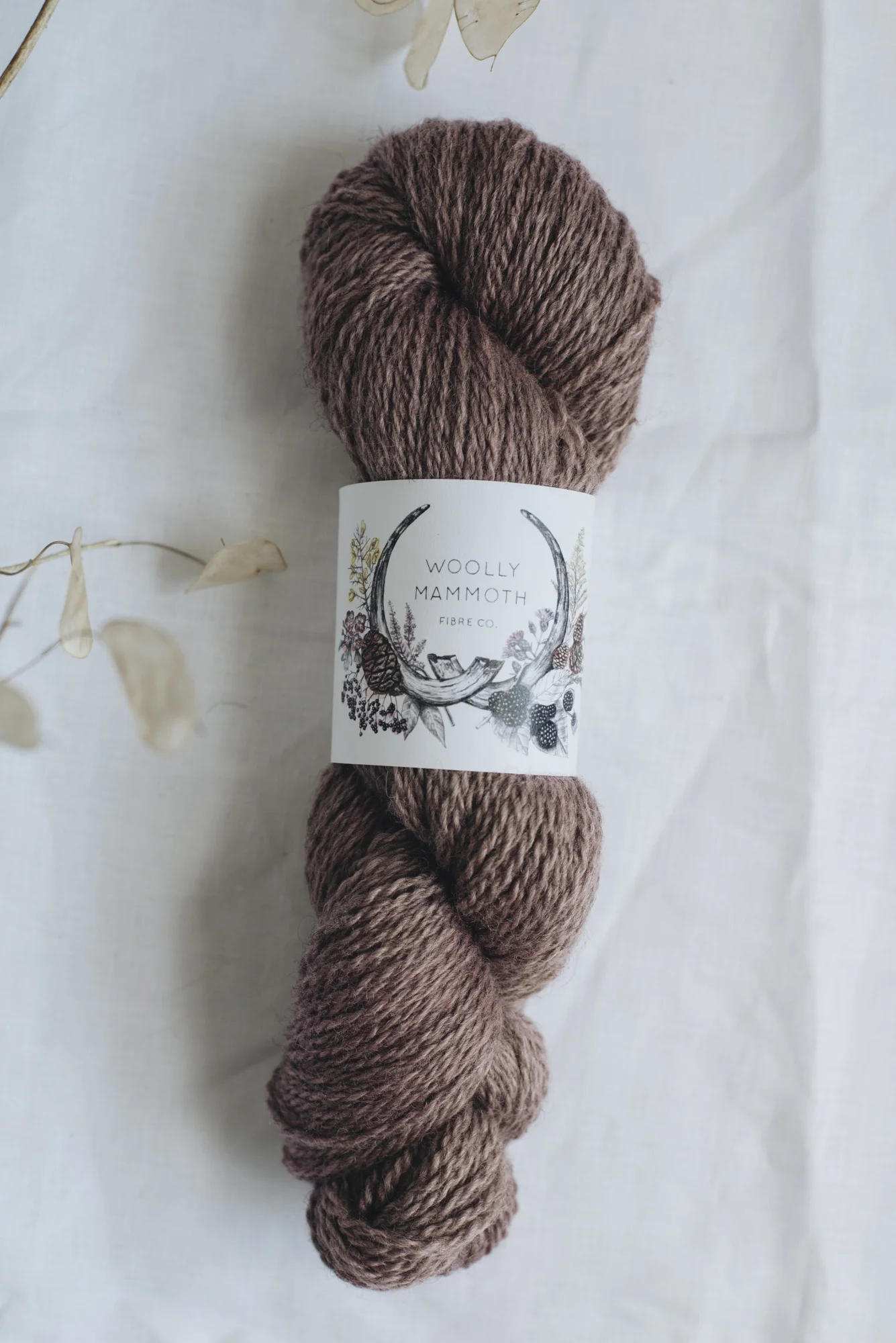 Aug2019Update_WMFC_EmmaStewartPhotography-2737.jpg