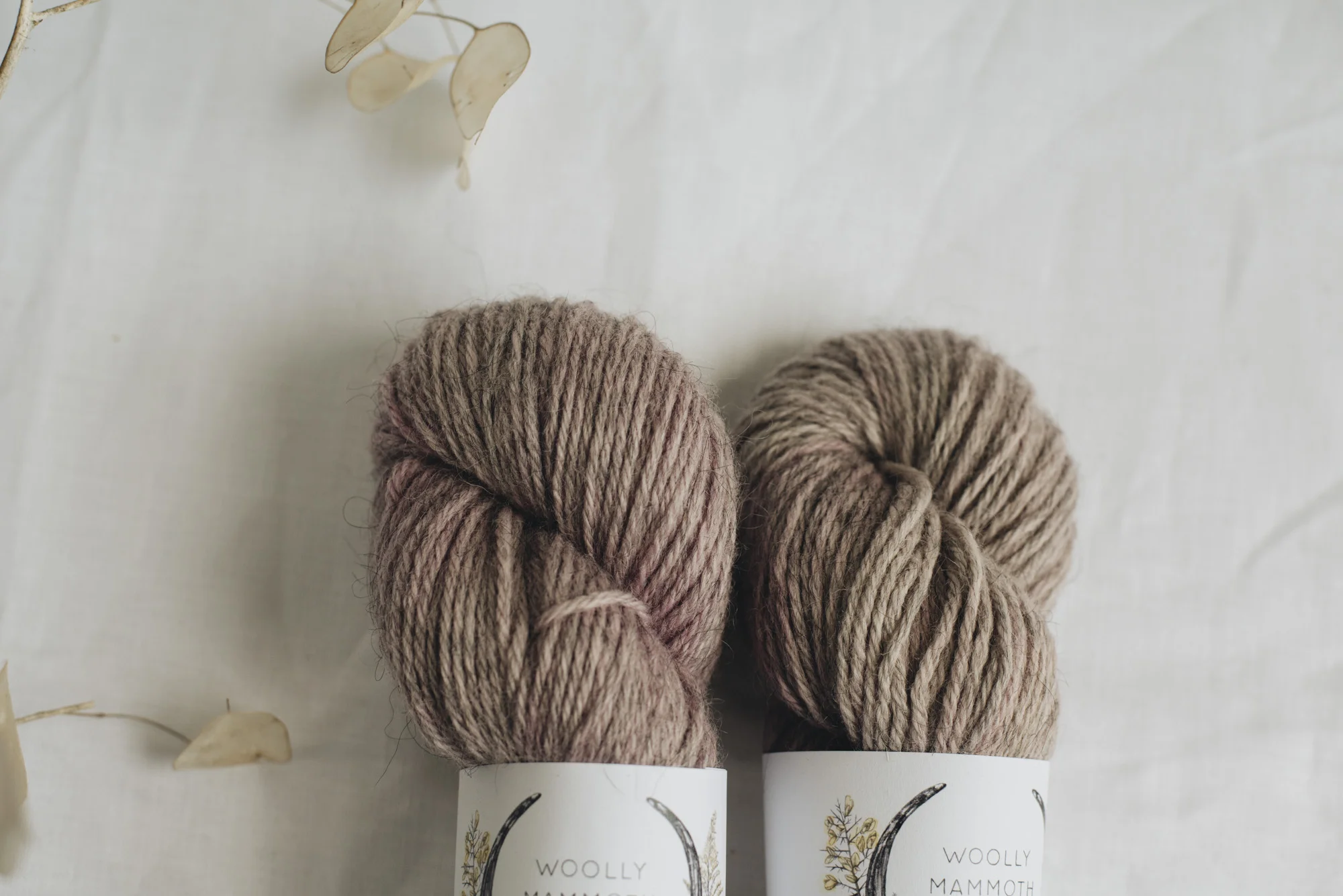 Aug2019Update_WMFC_EmmaStewartPhotography-2757.jpg