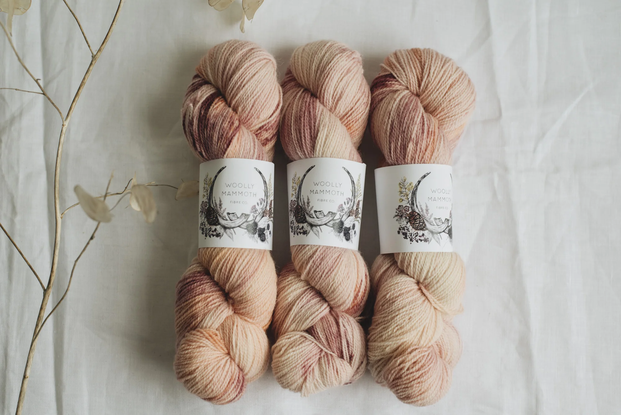 Aug2019Update_WMFC_EmmaStewartPhotography-2794.jpg