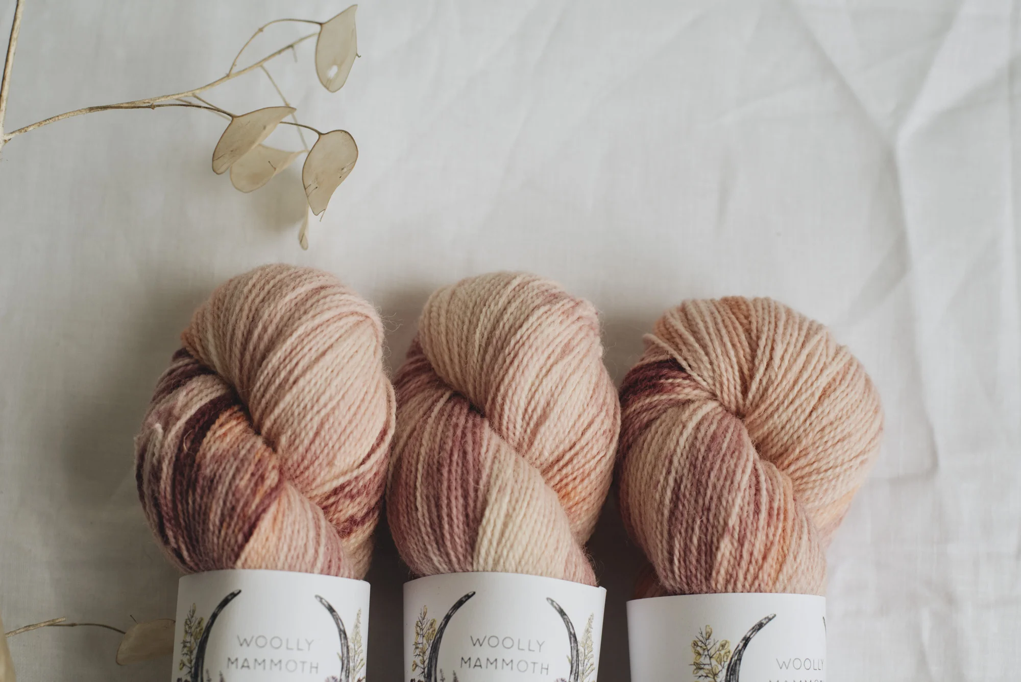 Aug2019Update_WMFC_EmmaStewartPhotography-2796.jpg