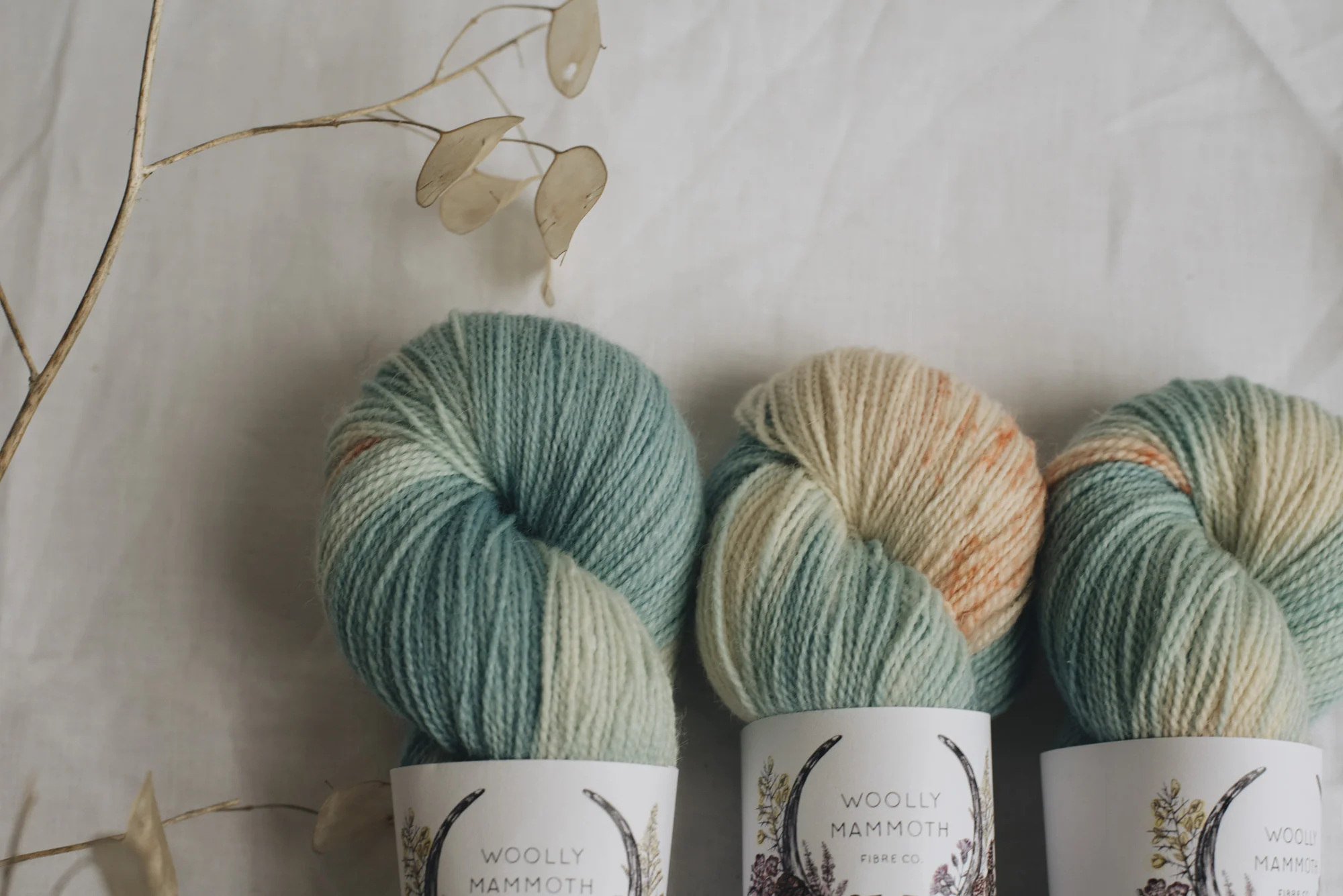 Aug2019Update_WMFC_EmmaStewartPhotography-2800.jpg