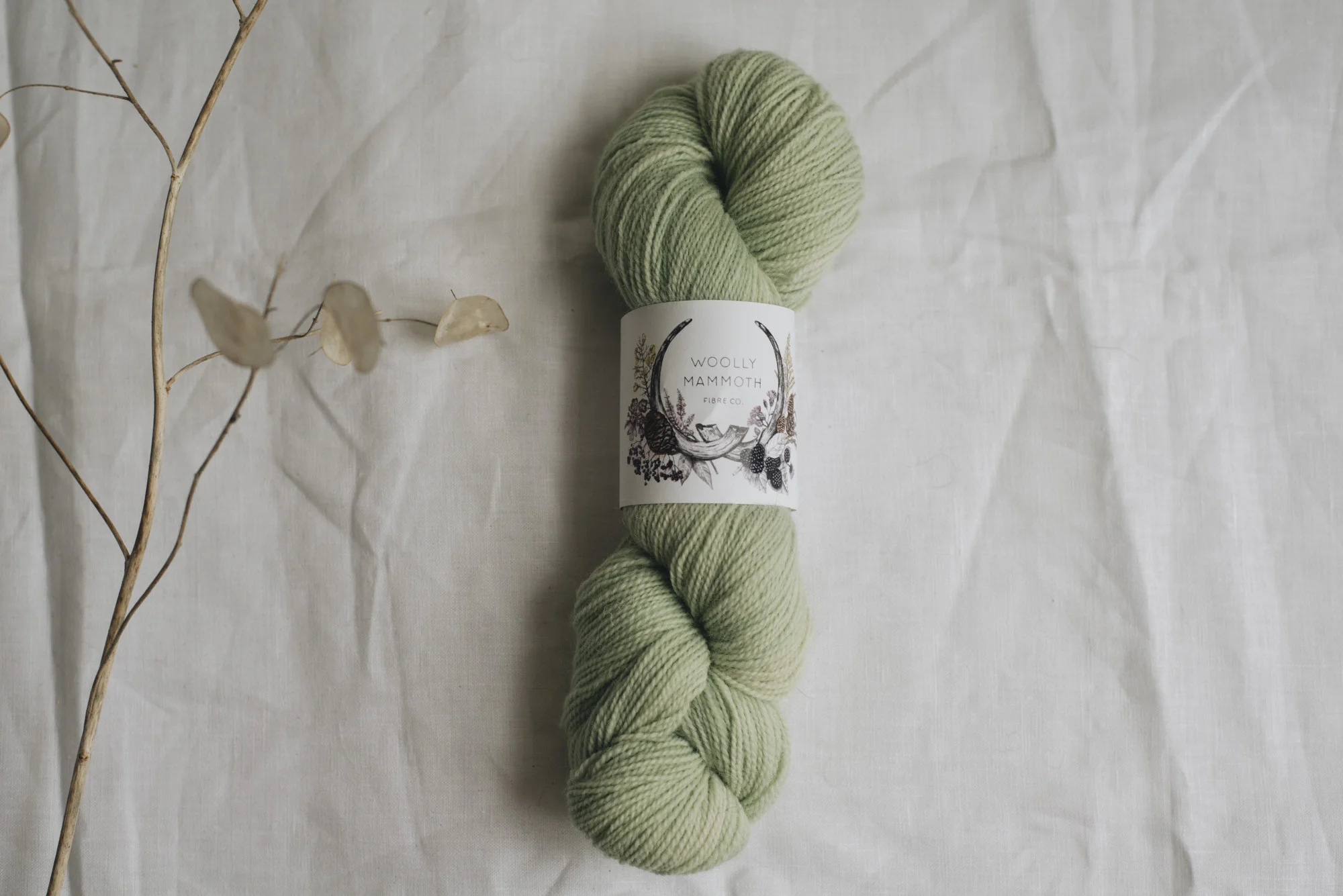 Aug2019Update_WMFC_EmmaStewartPhotography-2813.jpg
