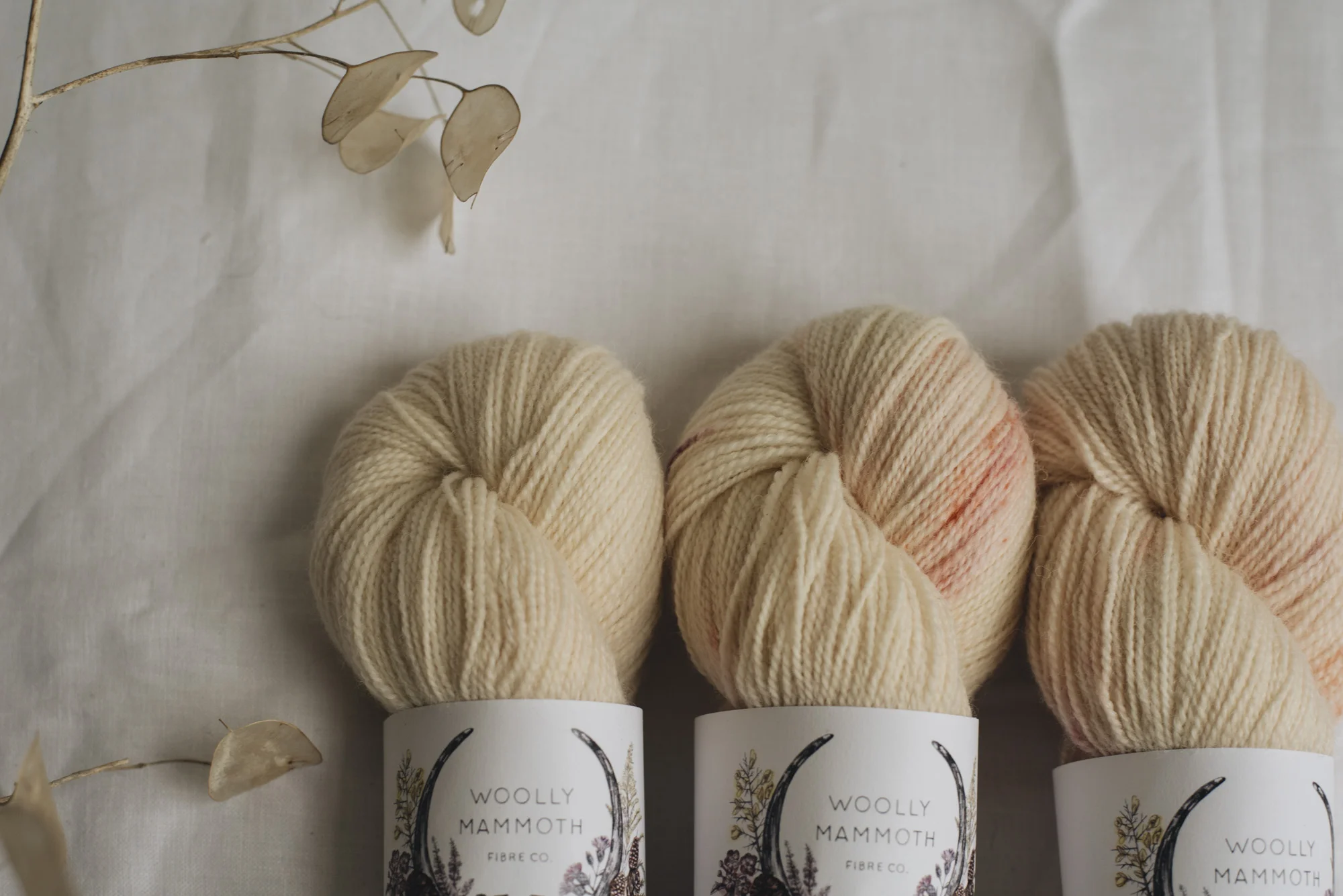 Aug2019Update_WMFC_EmmaStewartPhotography-2818.jpg