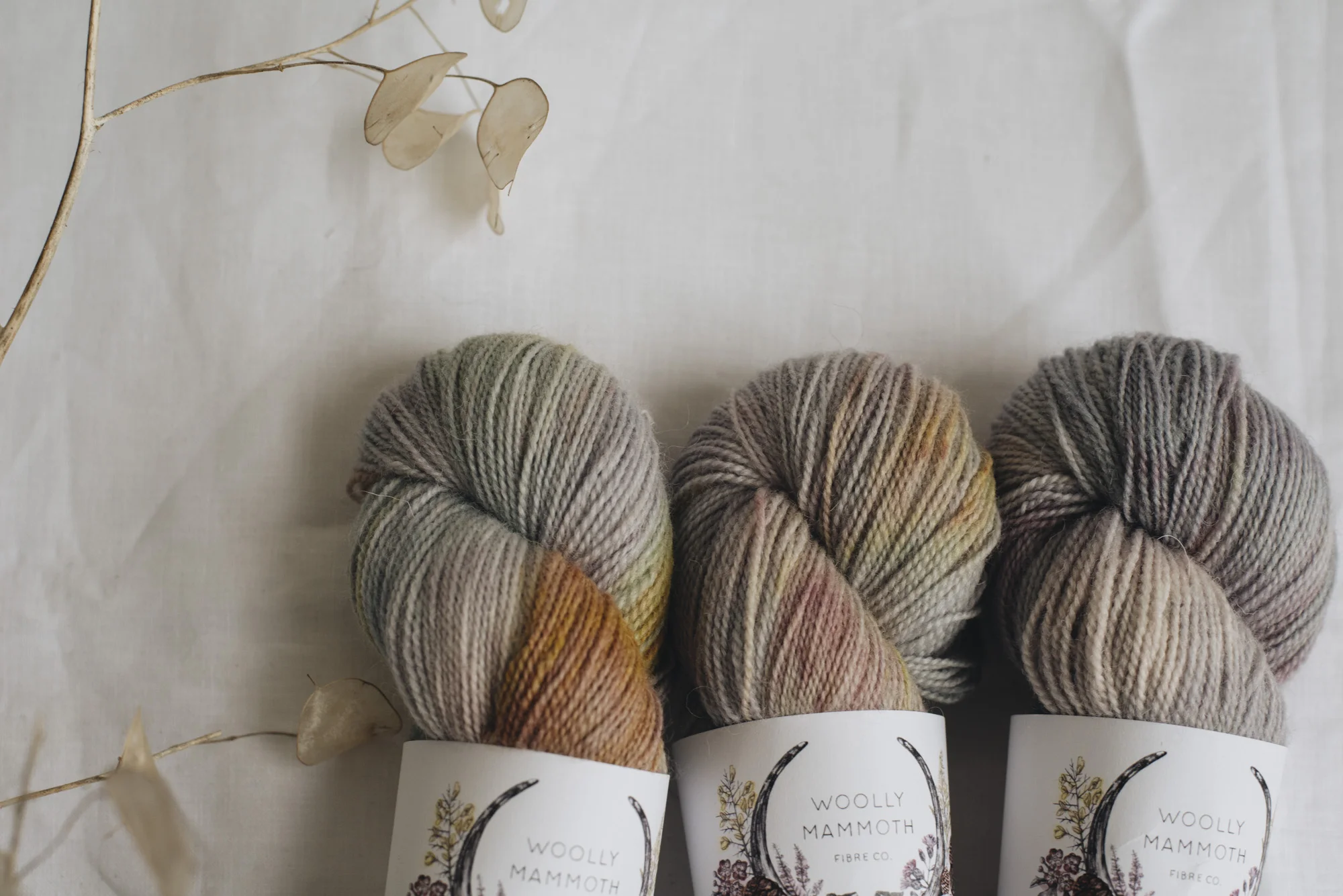 Aug2019Update_WMFC_EmmaStewartPhotography-2843.jpg