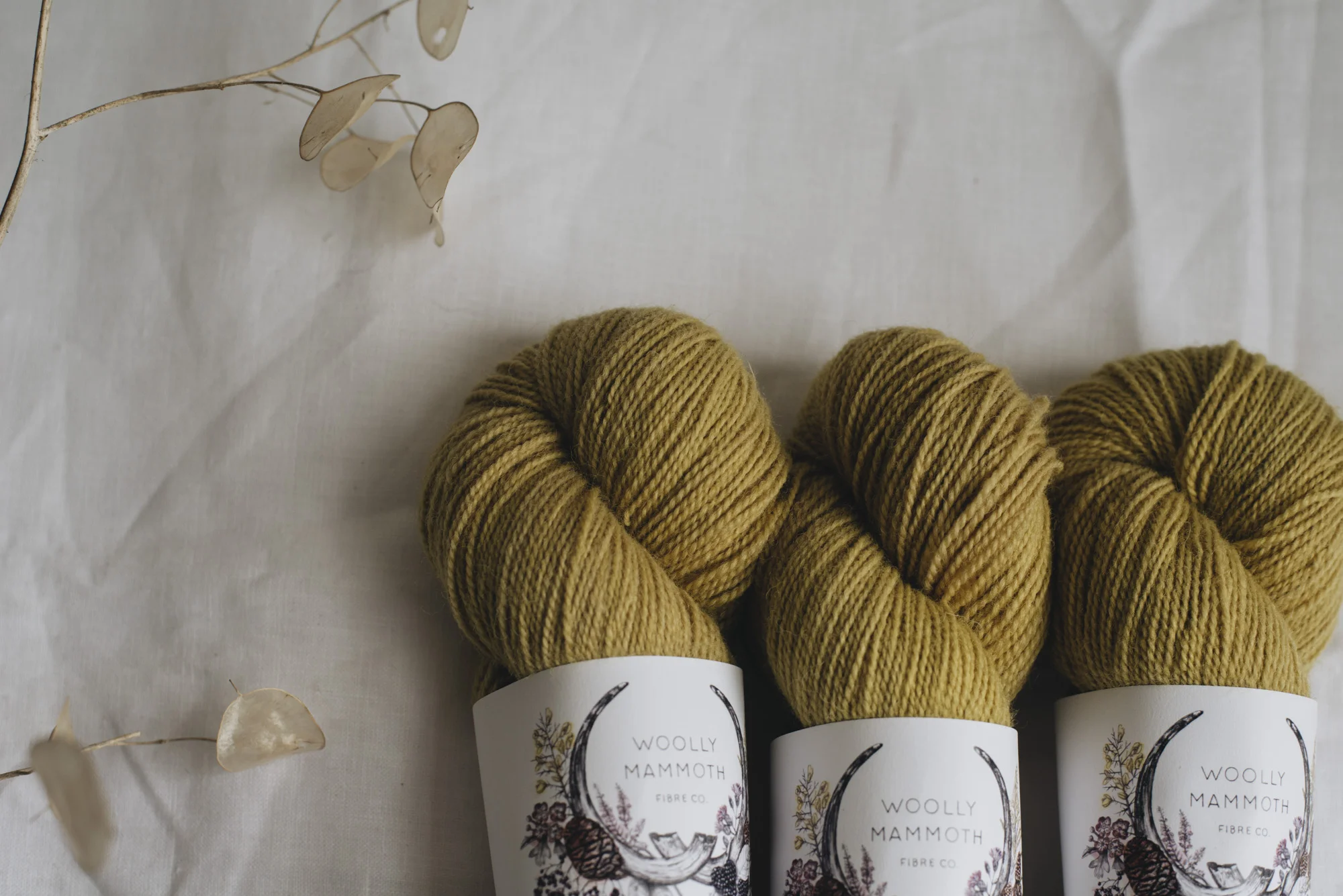 Aug2019Update_WMFC_EmmaStewartPhotography-2855.jpg