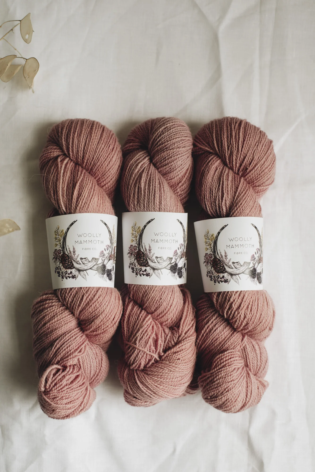 Aug2019Update_WMFC_EmmaStewartPhotography-2877.jpg