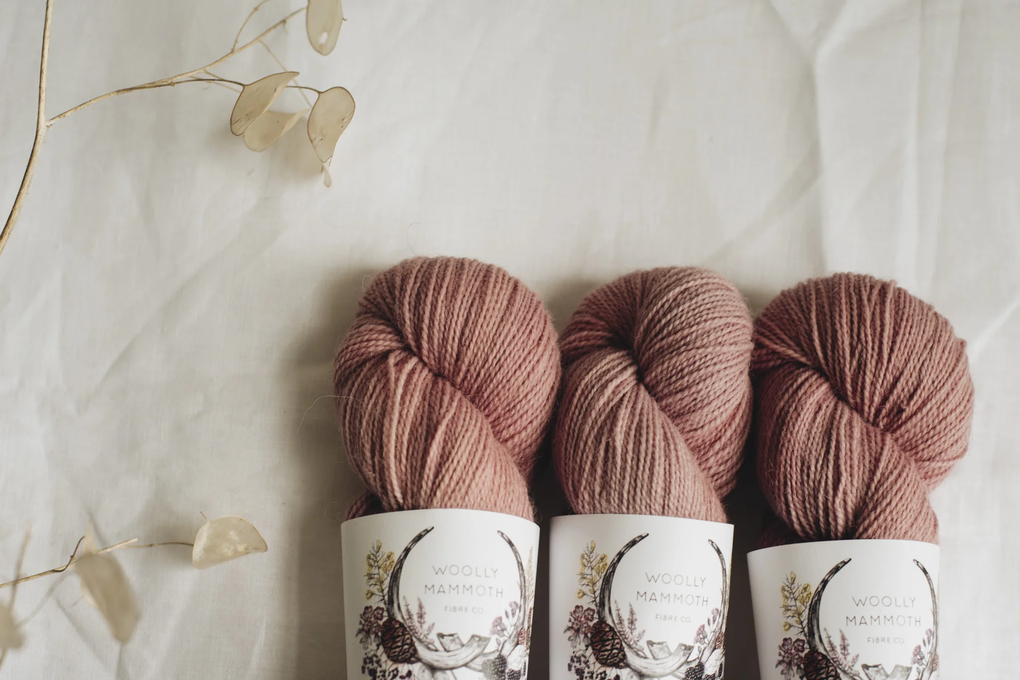 Aug2019Update_WMFC_EmmaStewartPhotography-2878.jpg