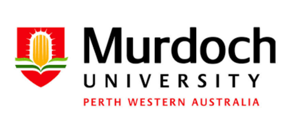 Screen Shot 2017-10-19 at 9.33.07 pm.png