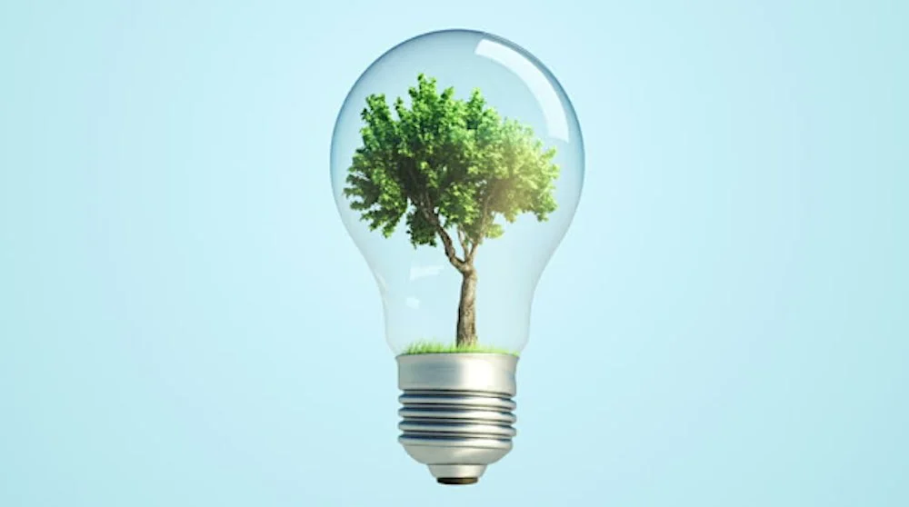 bulb plant.jpg