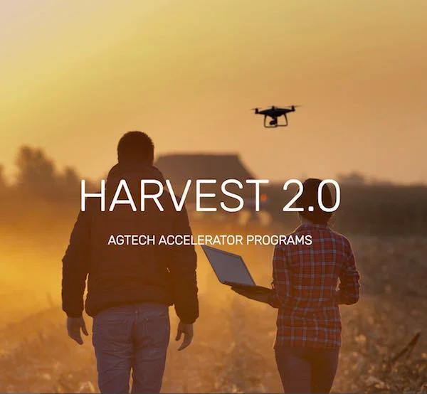 AGRISTART Accelerator Programs - applications now open