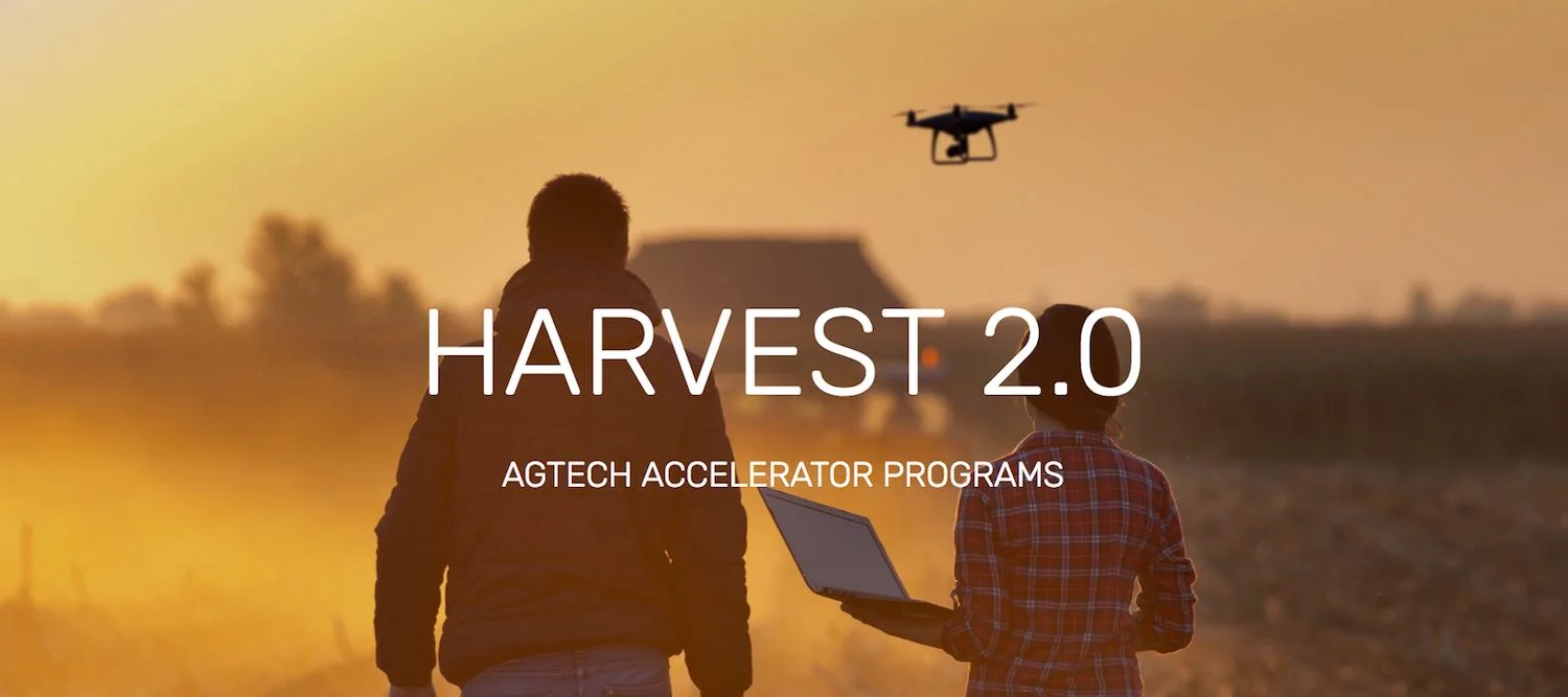 Harvest 2 wide intro.jpg