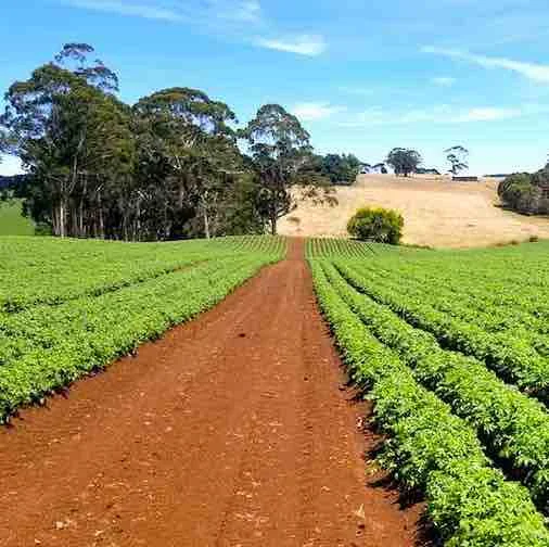 $485,000 Federal grant awarded for AgriStart