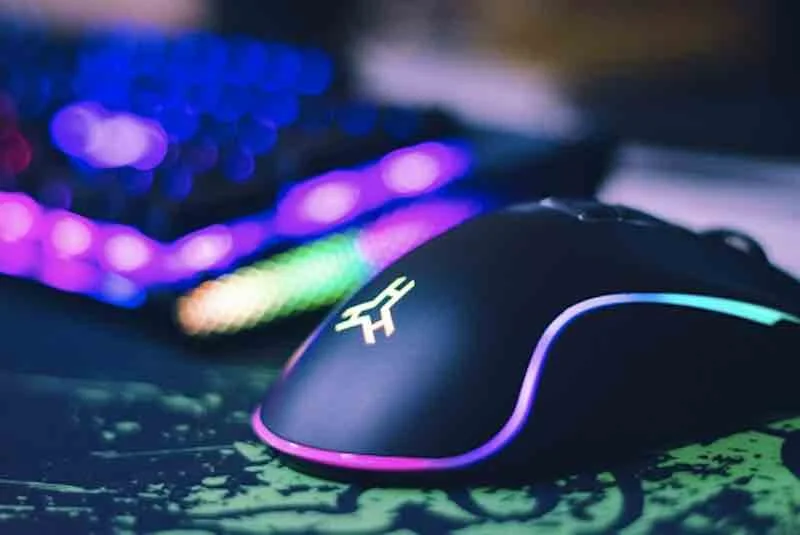 mouse.jpg