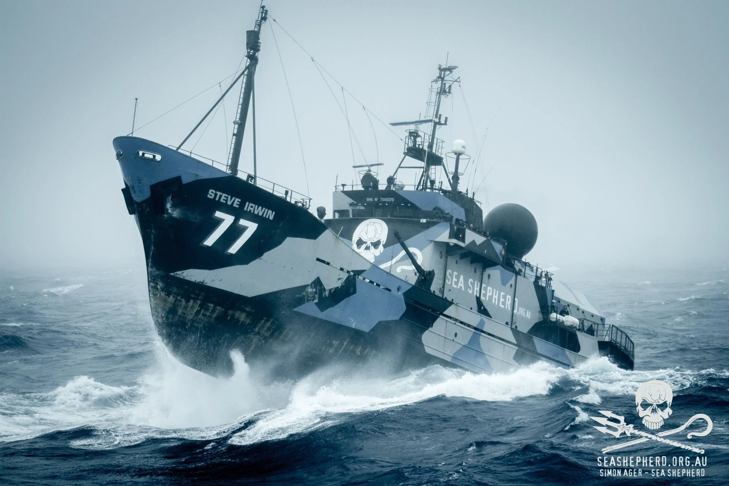 Un bateau de la mission Sea Shepherd naviguant en mer en mer agitée sous un ciel gris, avec un logo de crâne et de trident sur le côté, et la mention « SEA SHEPHERD ».