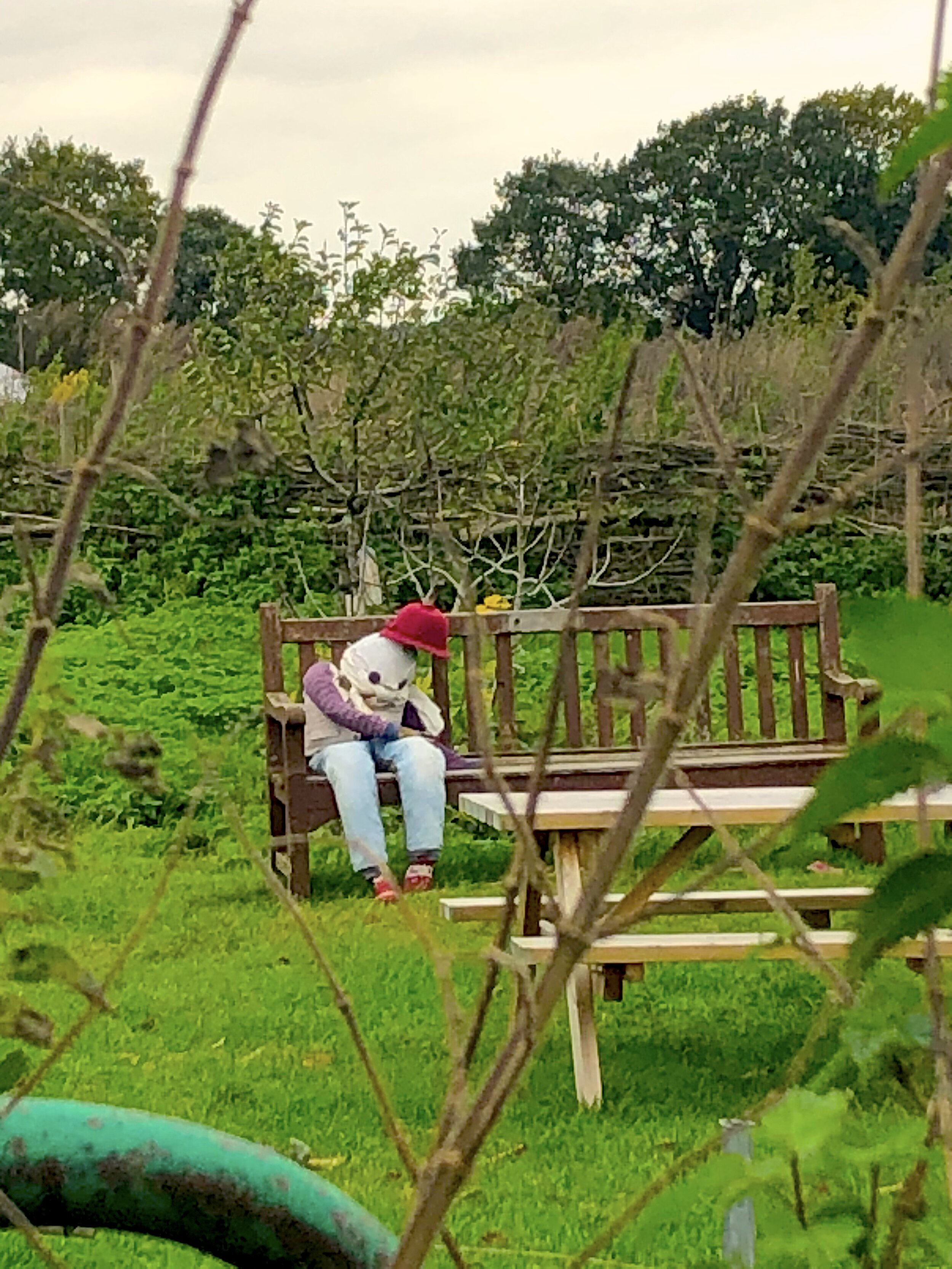 forty hall scarecrow.jpg
