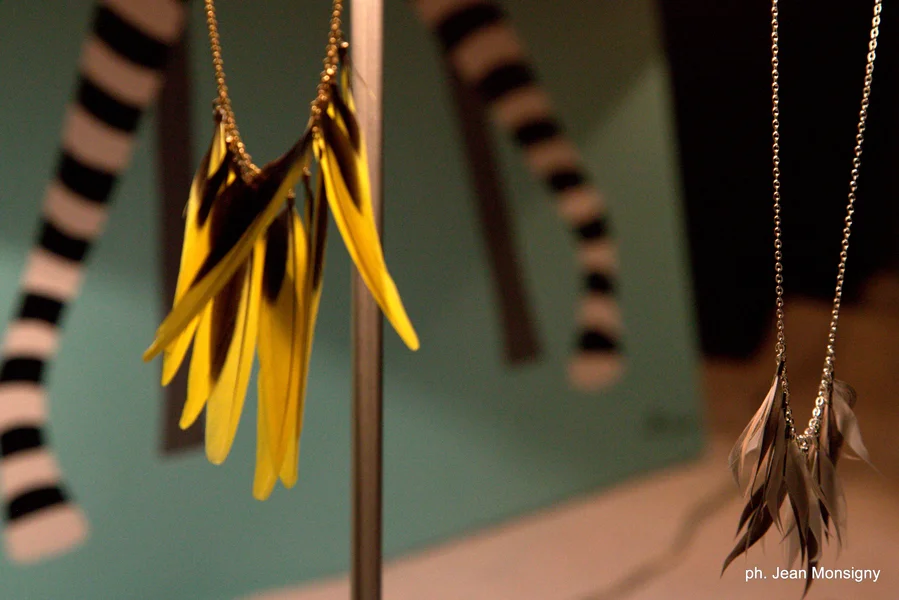 Bijoux en plumes