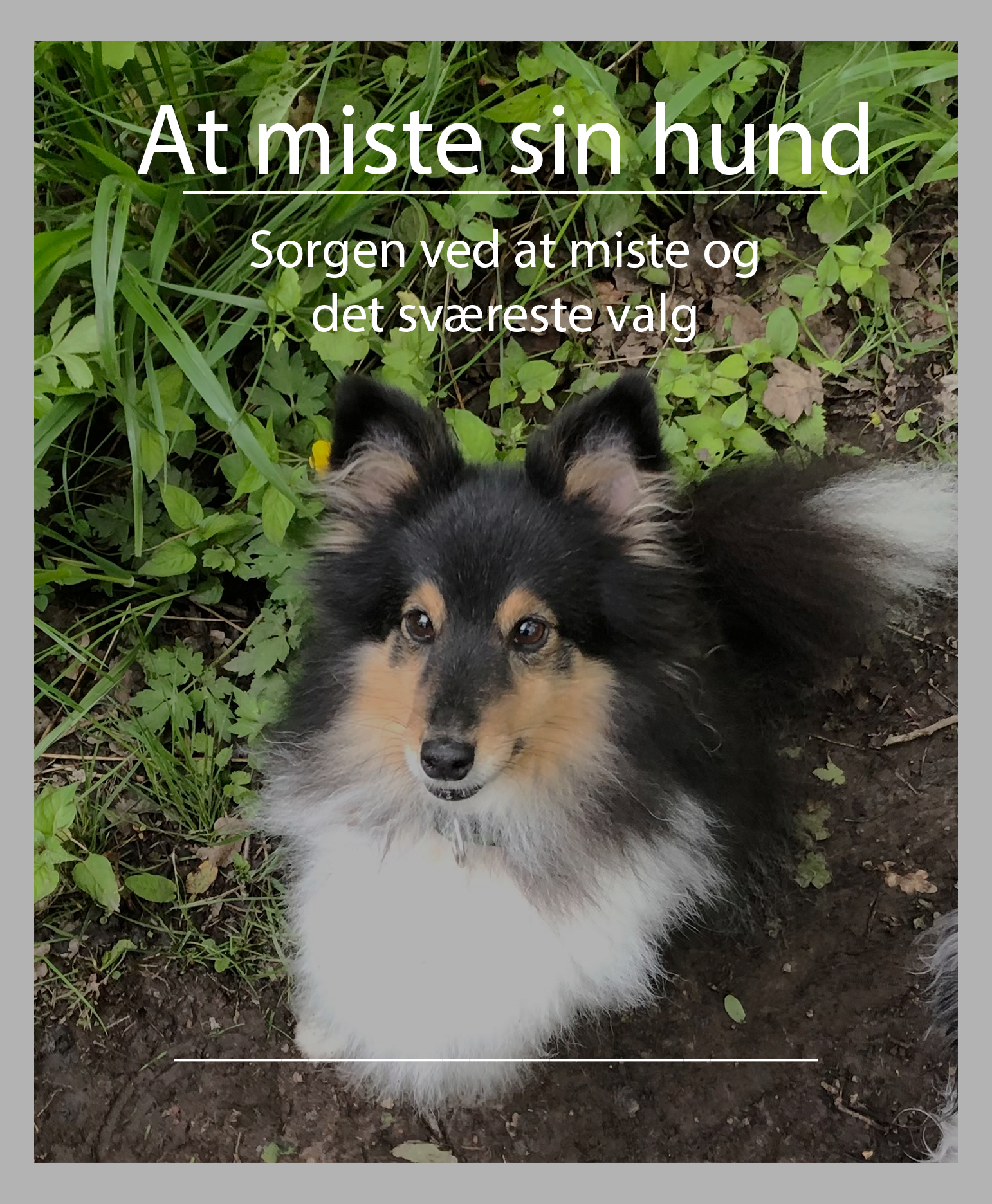 At miste sin hund - sorgen over at miste et familiemedlem, og tage den sværeste beslutning