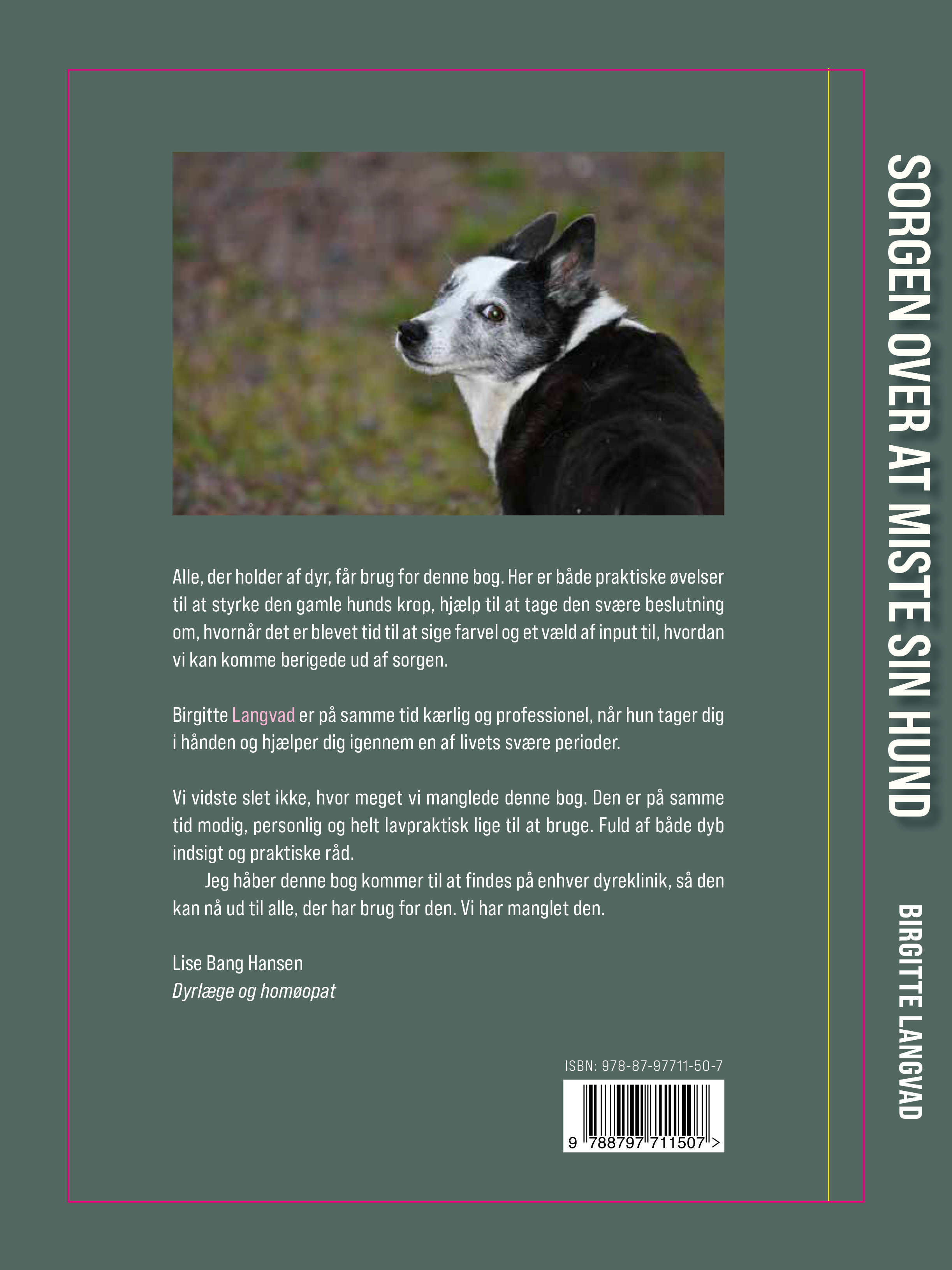 Bagside _Sorgen over at miste sin hund_.png