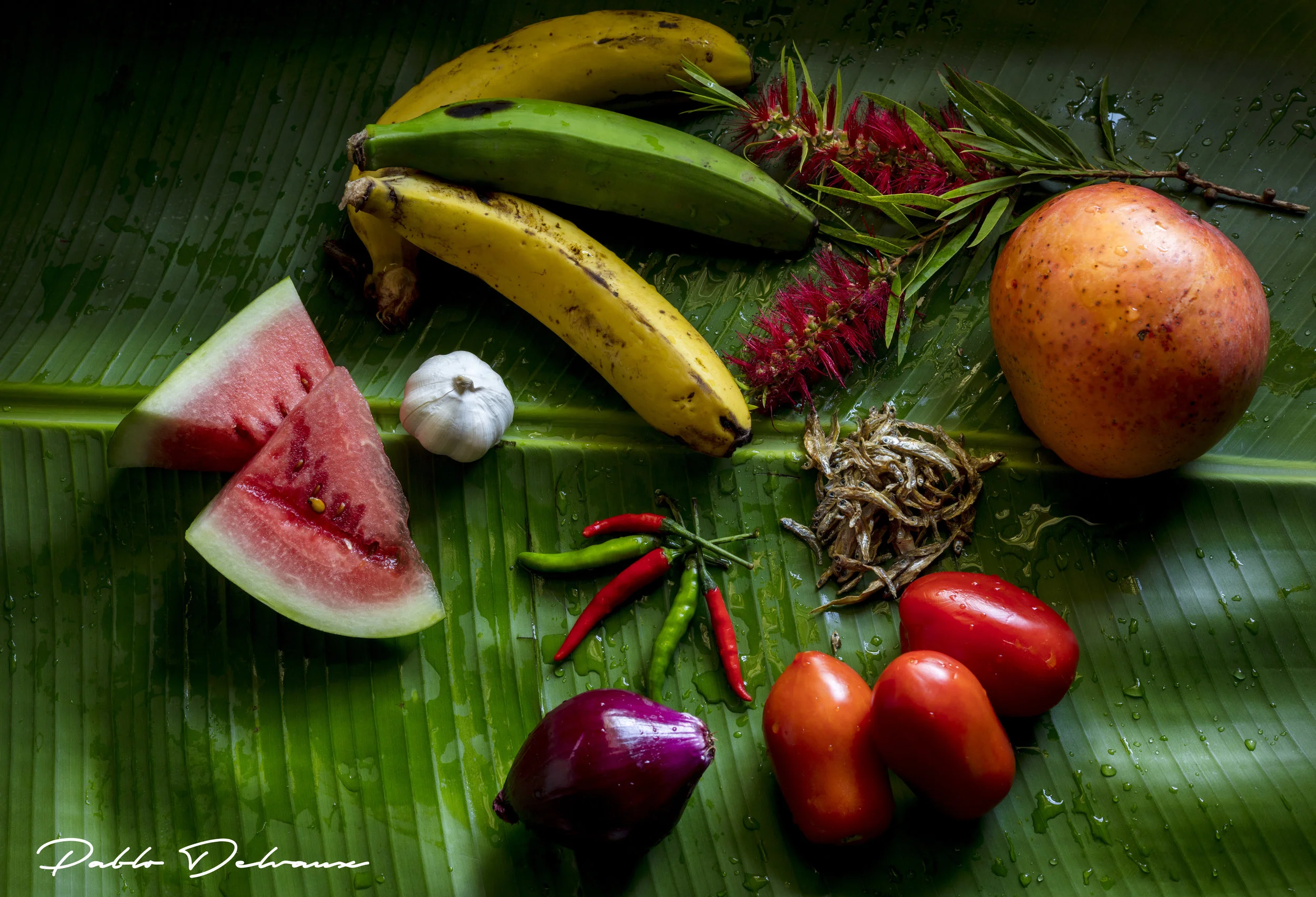 fruity session_-017.jpg