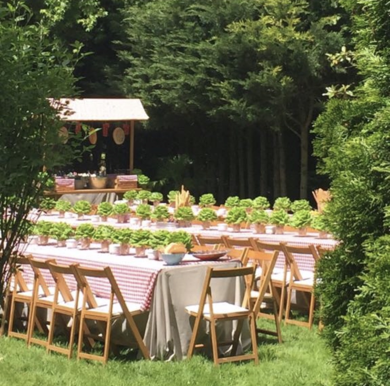 Montaje almuerzo en el jardín