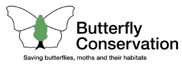 logo-butterfly.jpg