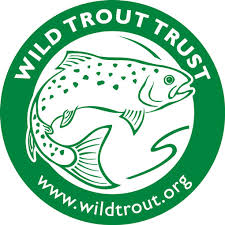 Wild Trout Trust.jpg