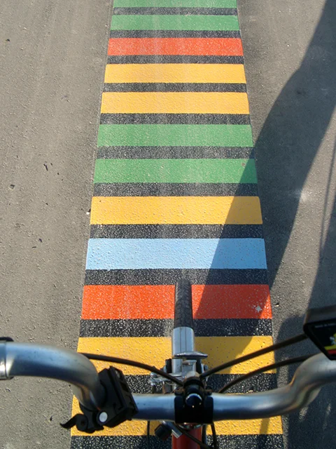 2 Genome Stripes.JPG