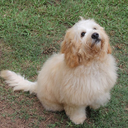 Caralee-Teddy.jpg