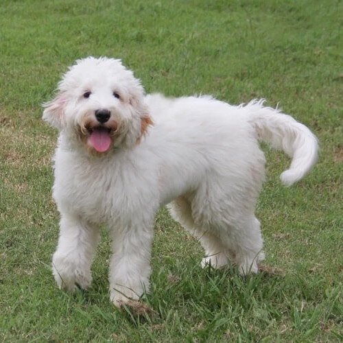 Casper-Wilbur.jpeg